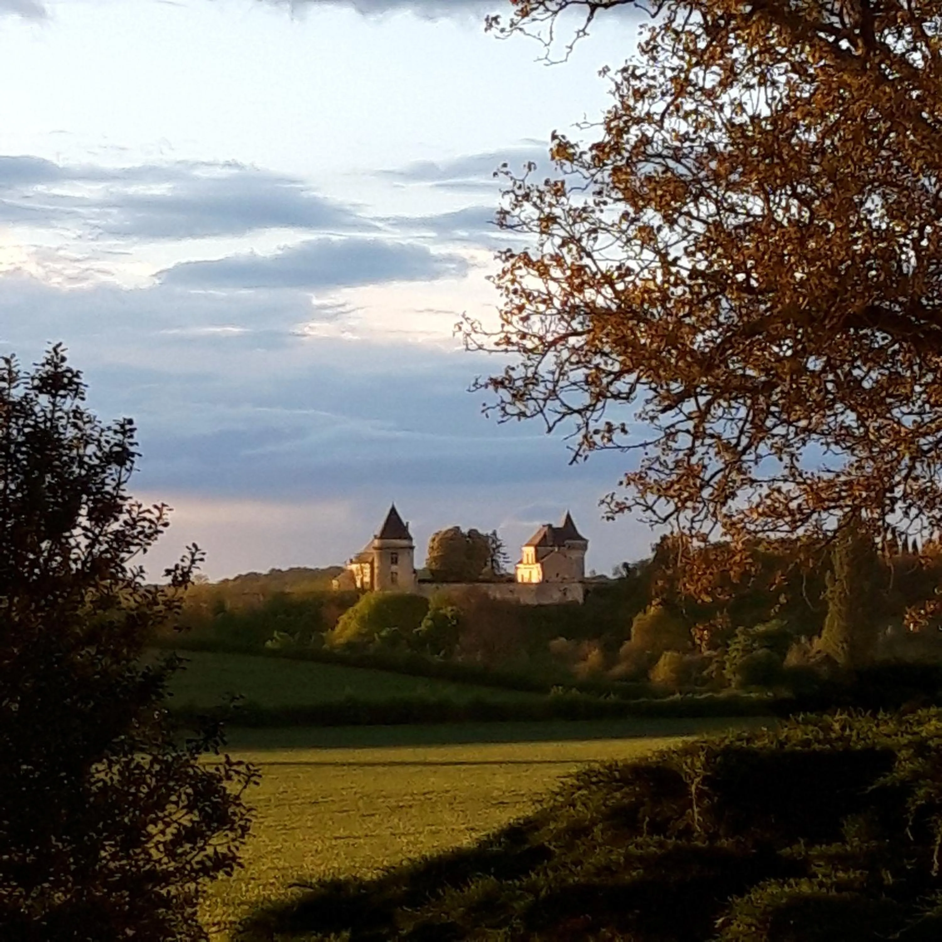 Neighbourhood in L'EDEN proche du Zoo de Beauval de Saint Aignan