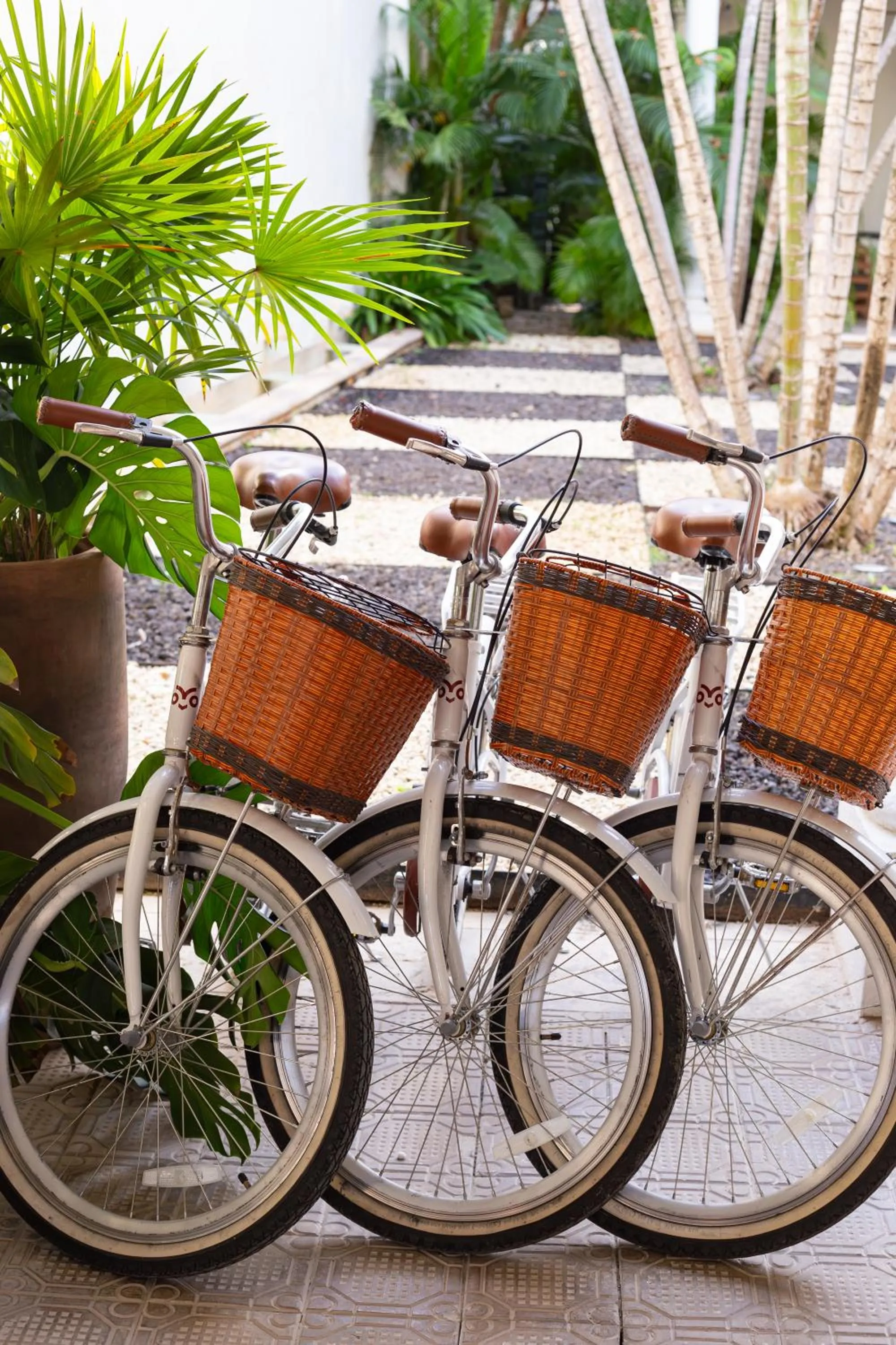 Cycling in DECU DOWNTOWN