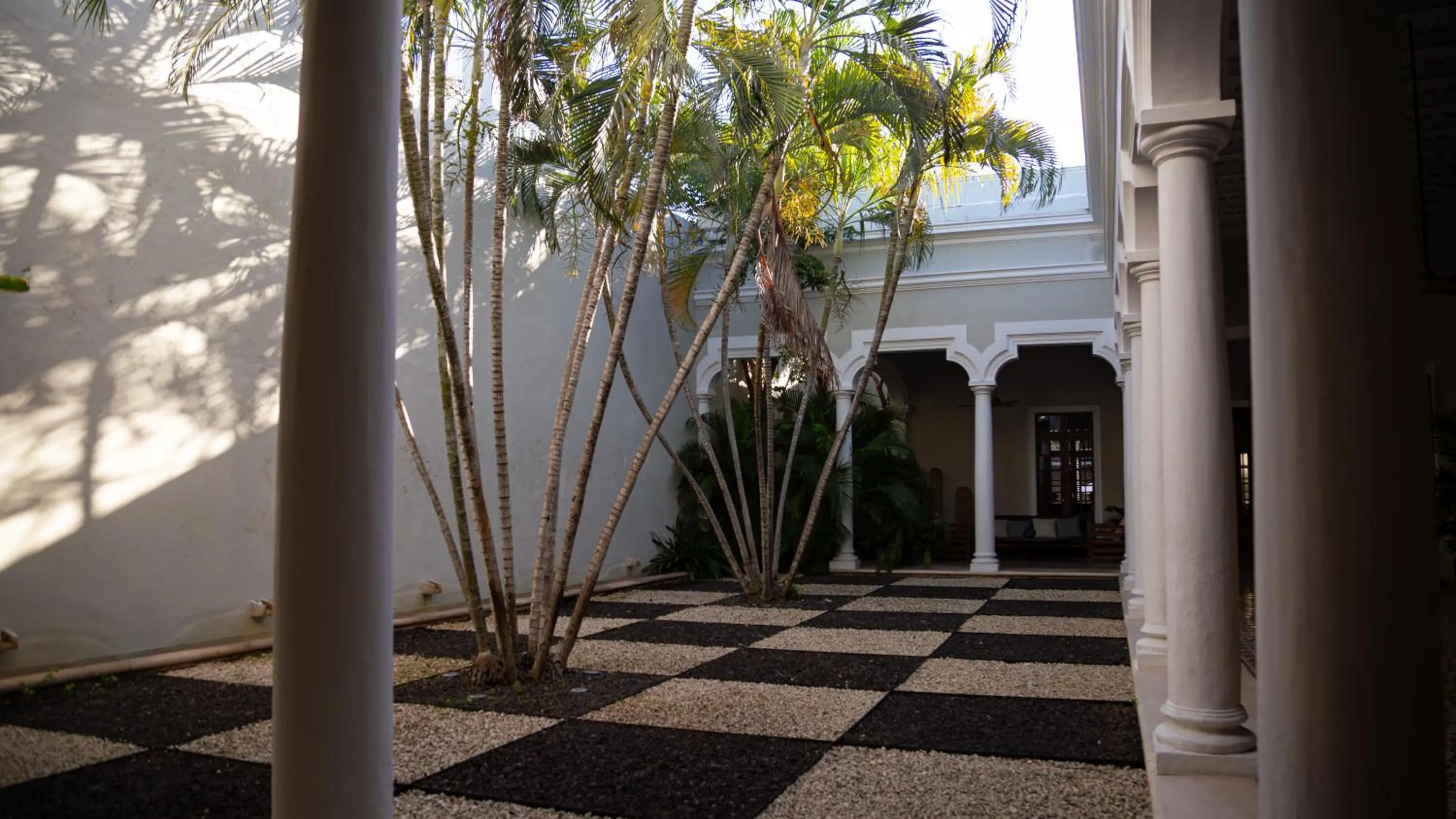 Garden view in DECU DOWNTOWN