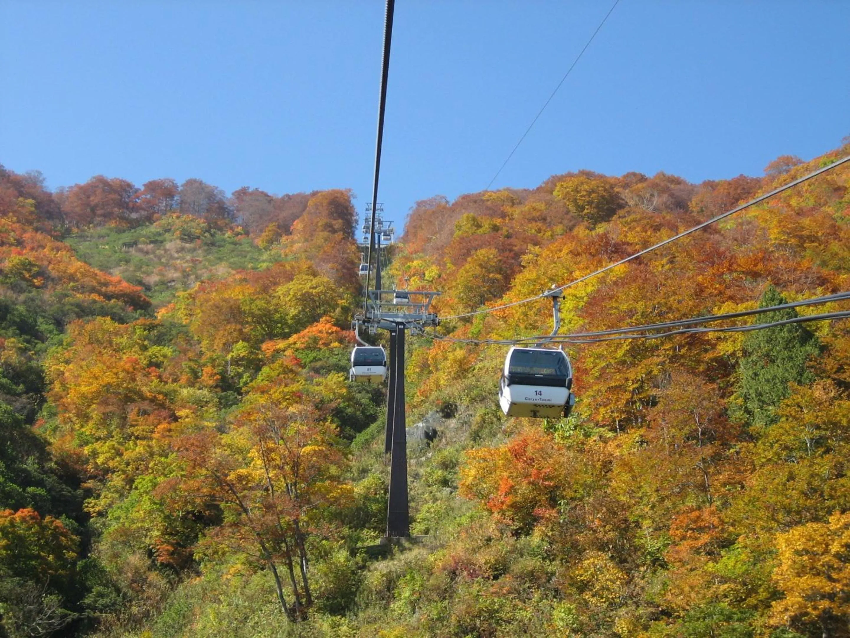 Off site in Kudo's Lodge