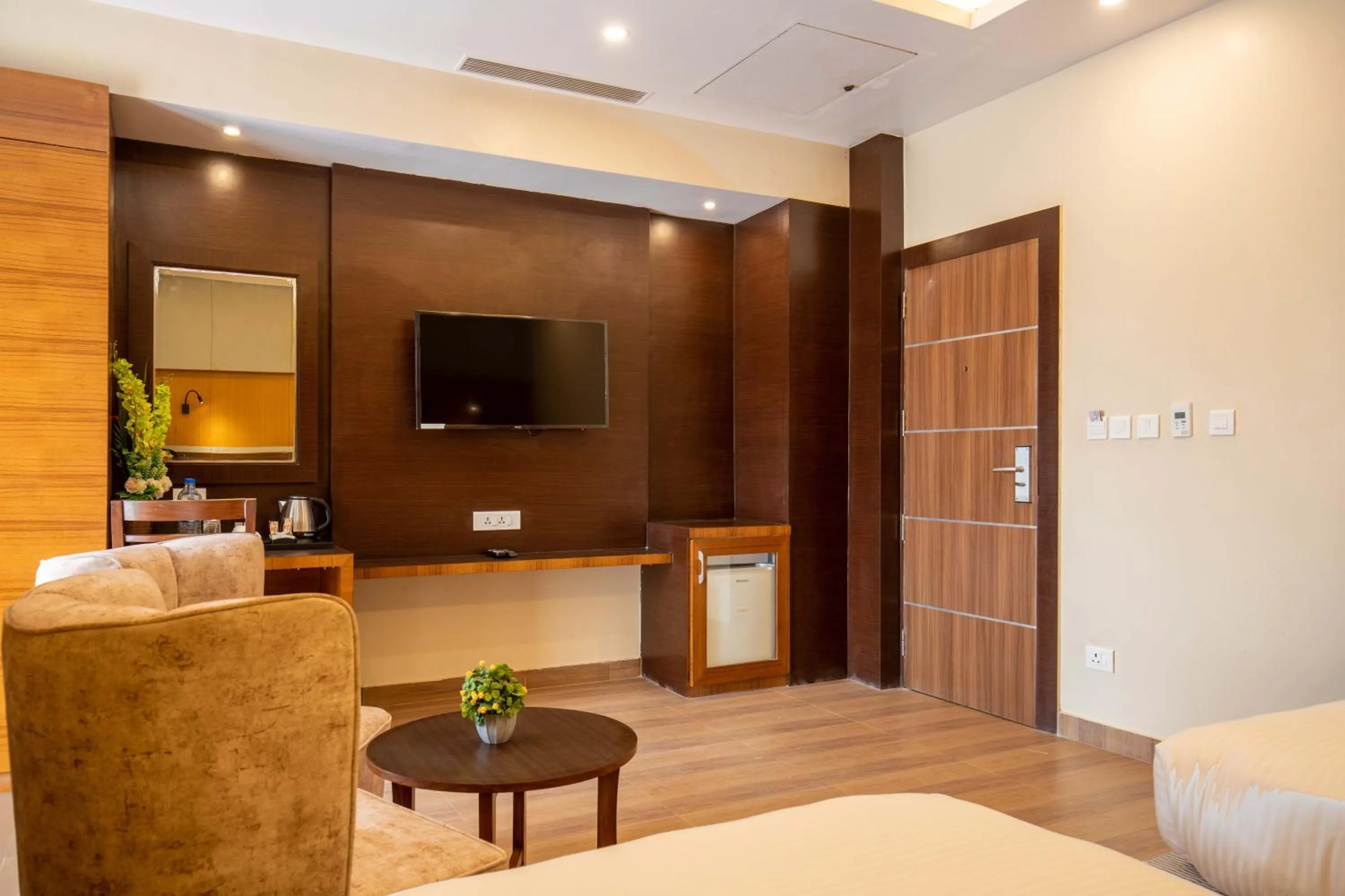 TV and multimedia in Hotel Palm International
