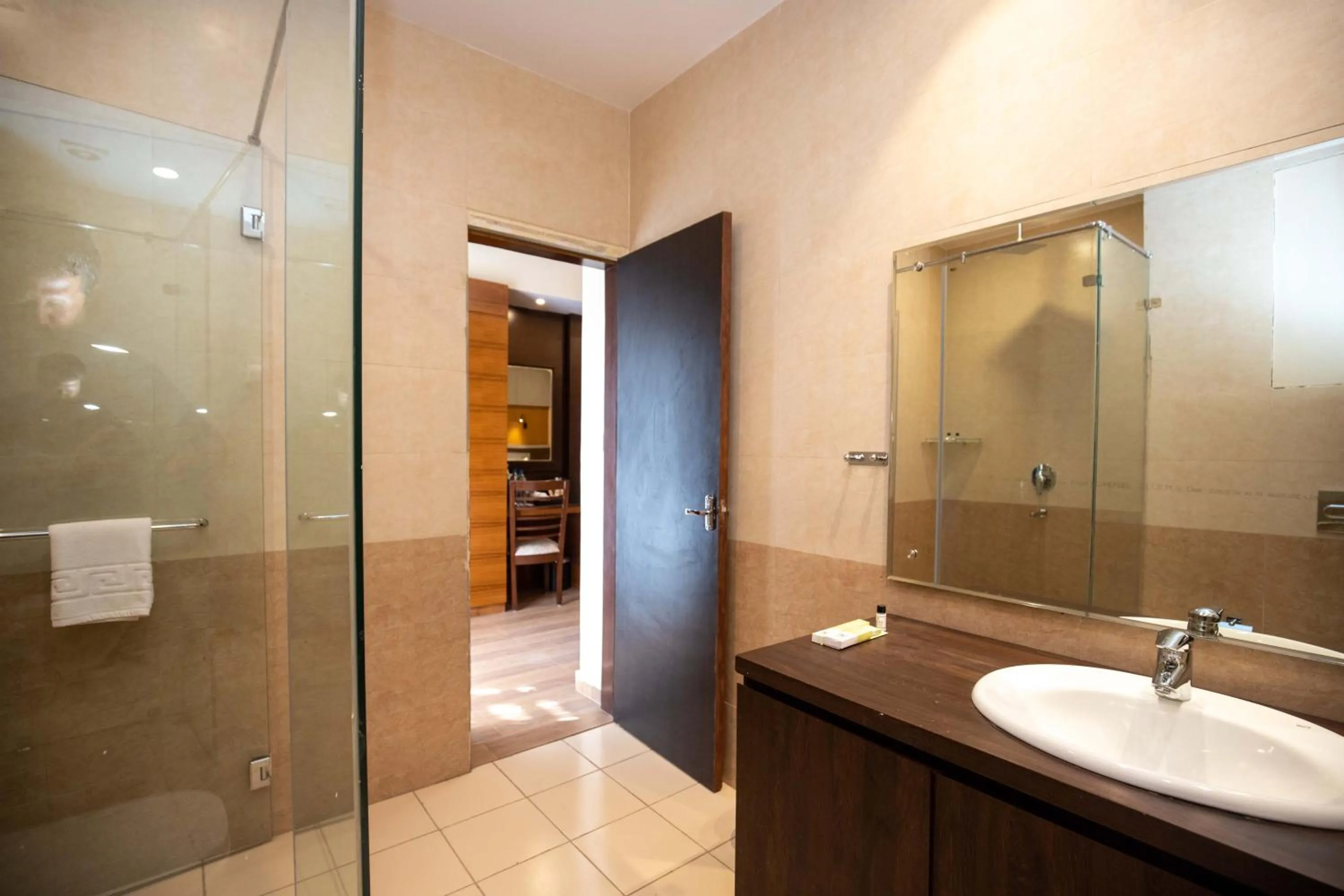 Bathroom in Hotel Palm International