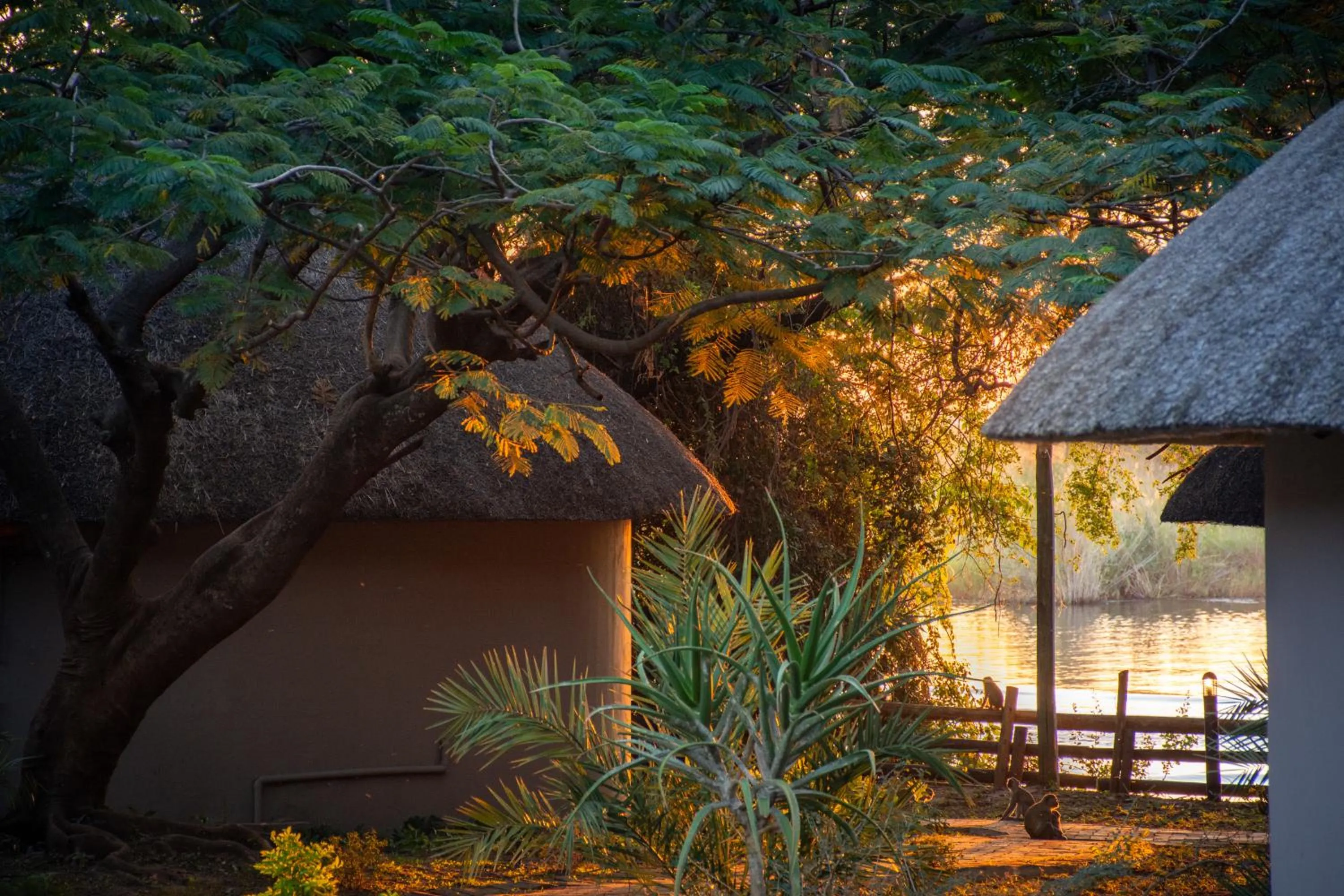 Property building in The Chobe Safari Lodge