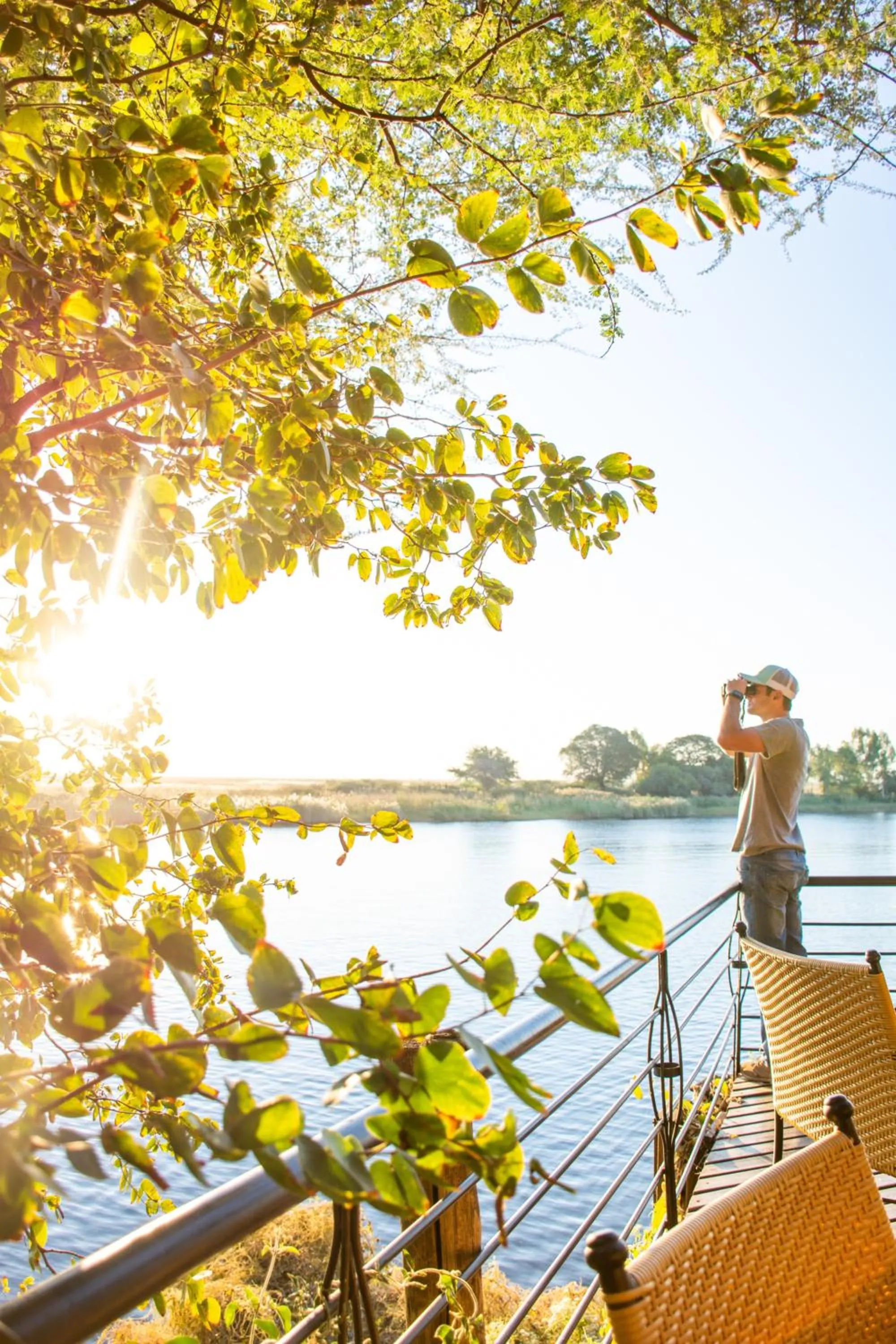 Balcony/Terrace in Chobe Safari Lodges