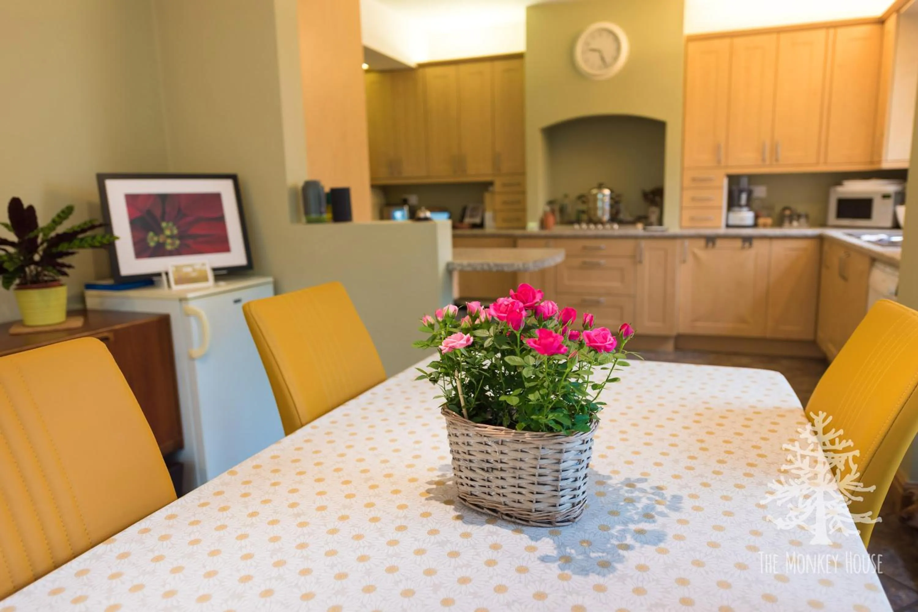 Kitchen or kitchenette in The Monkey House B&B