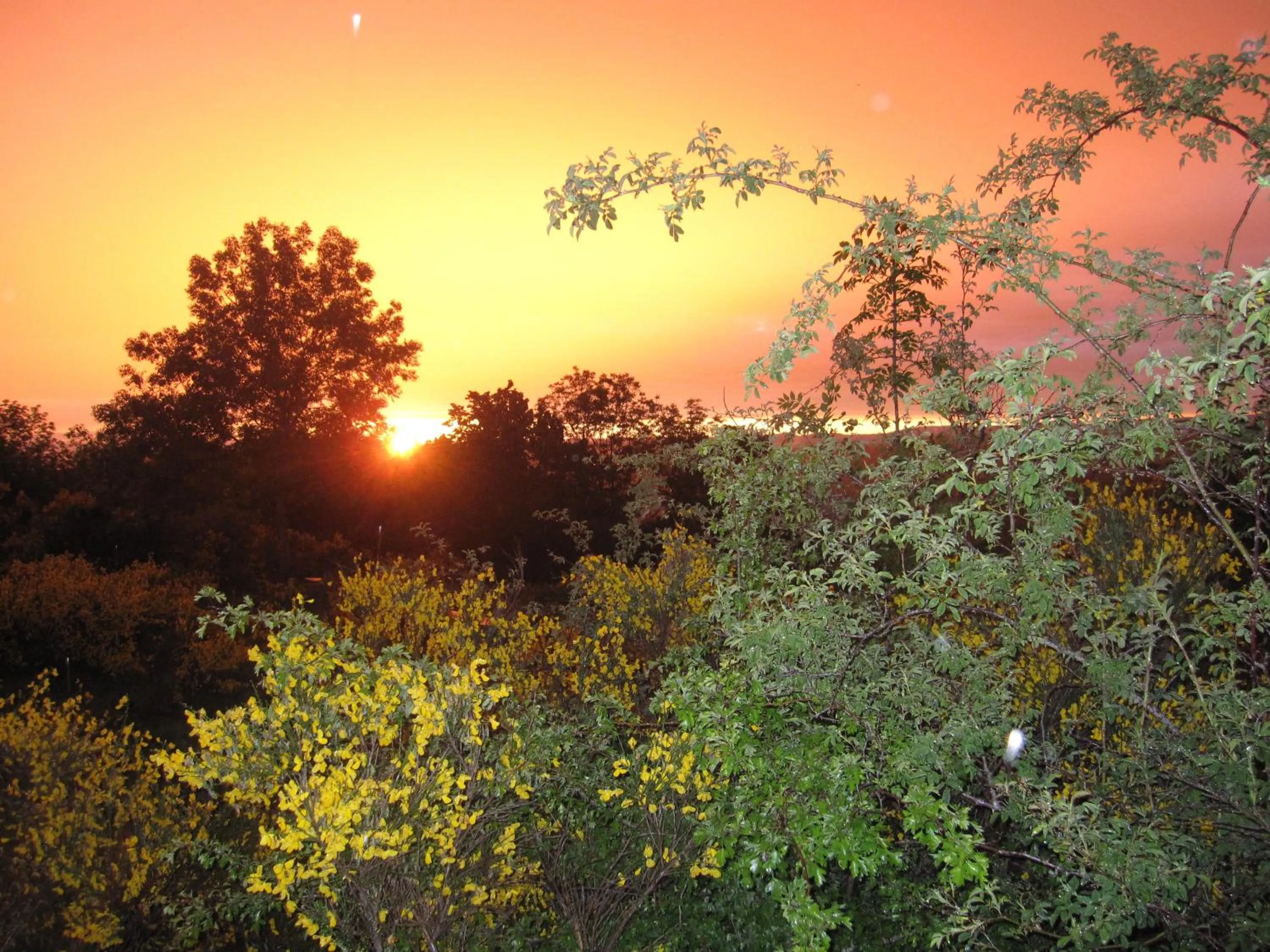 Other in Le clos de Banes