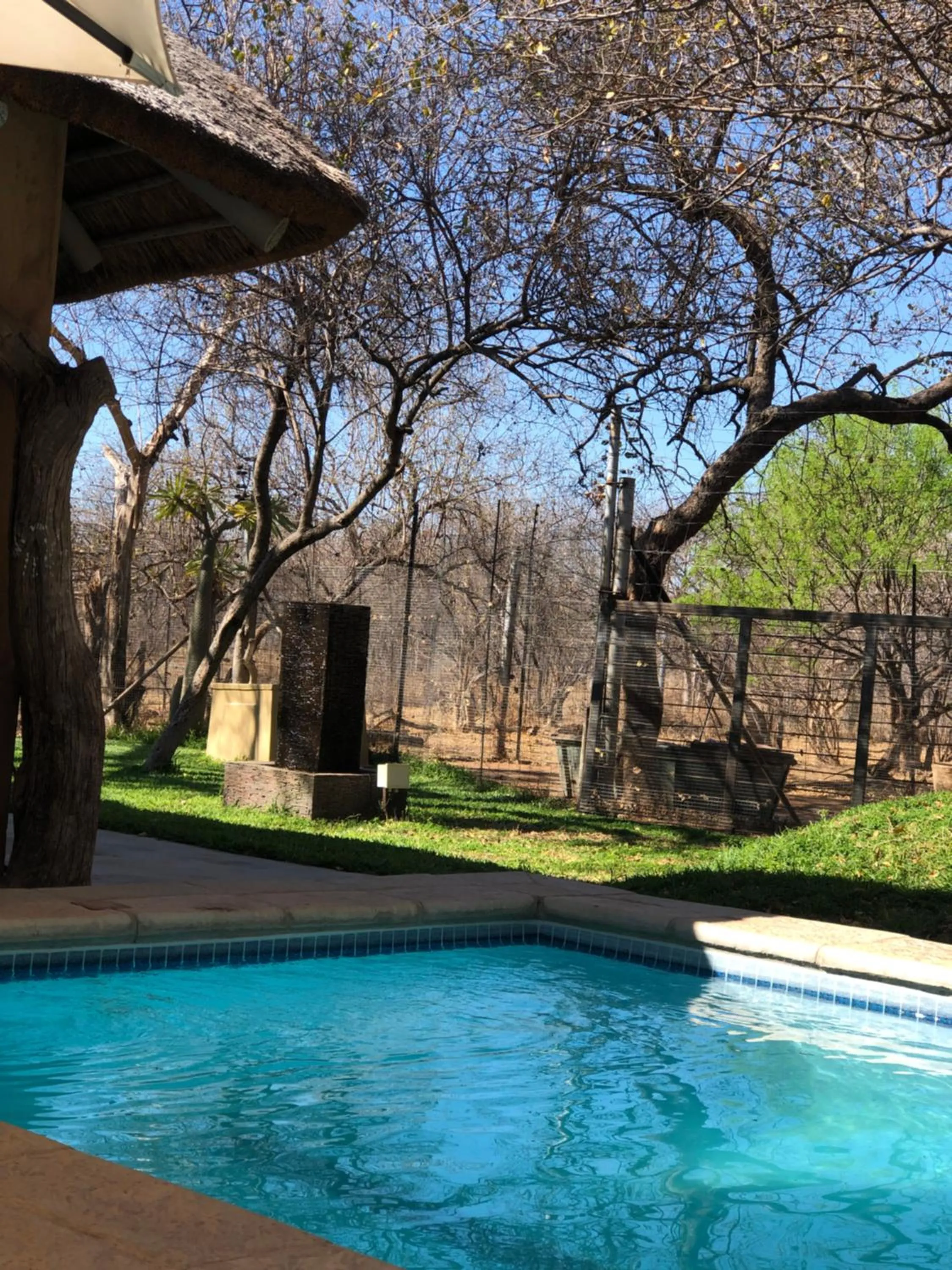 Garden view in Simba Safaris African Pride Exotic Lodge