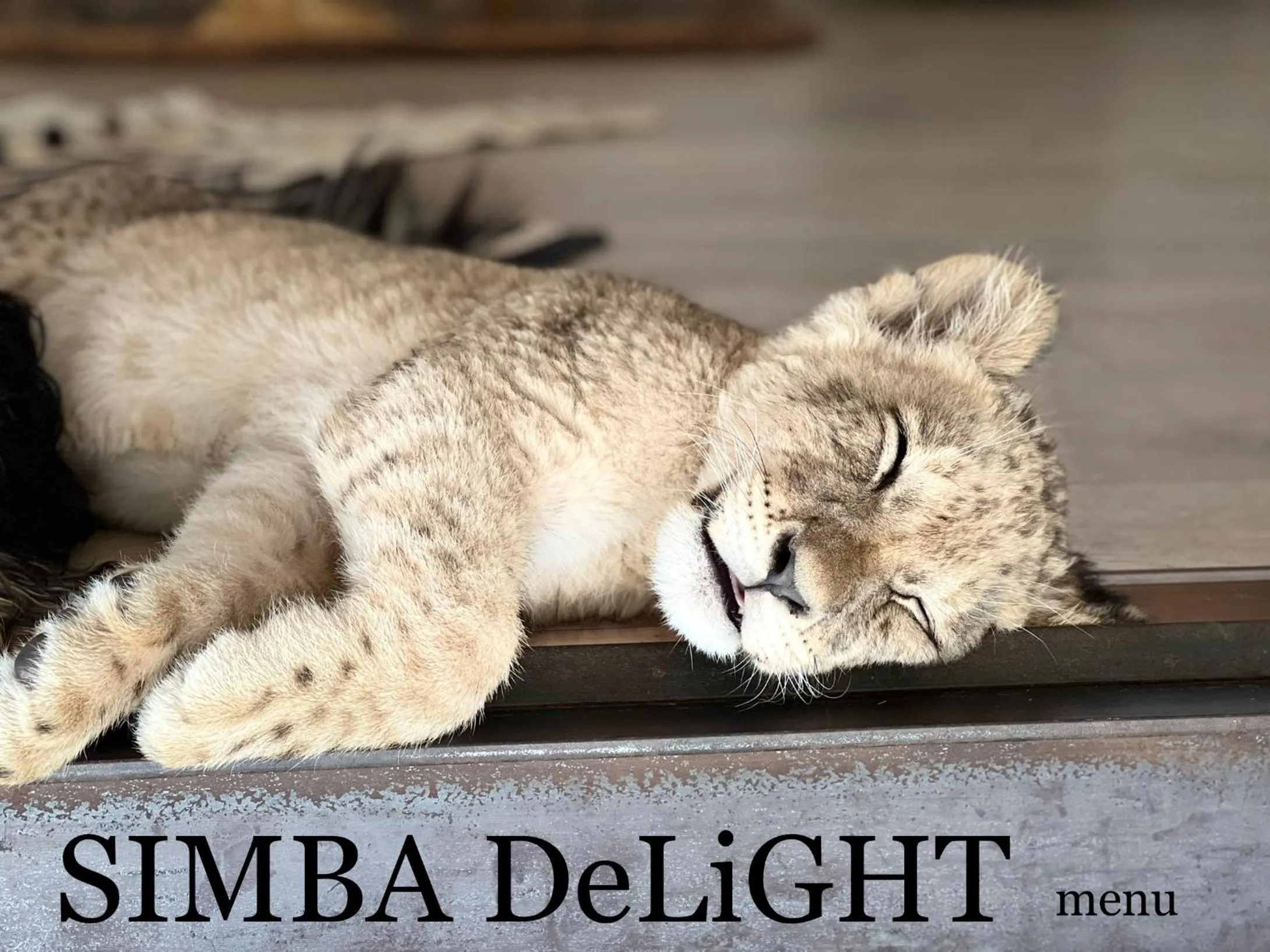 View (from property/room) in Simba Safaris African Pride Exotic Lodge