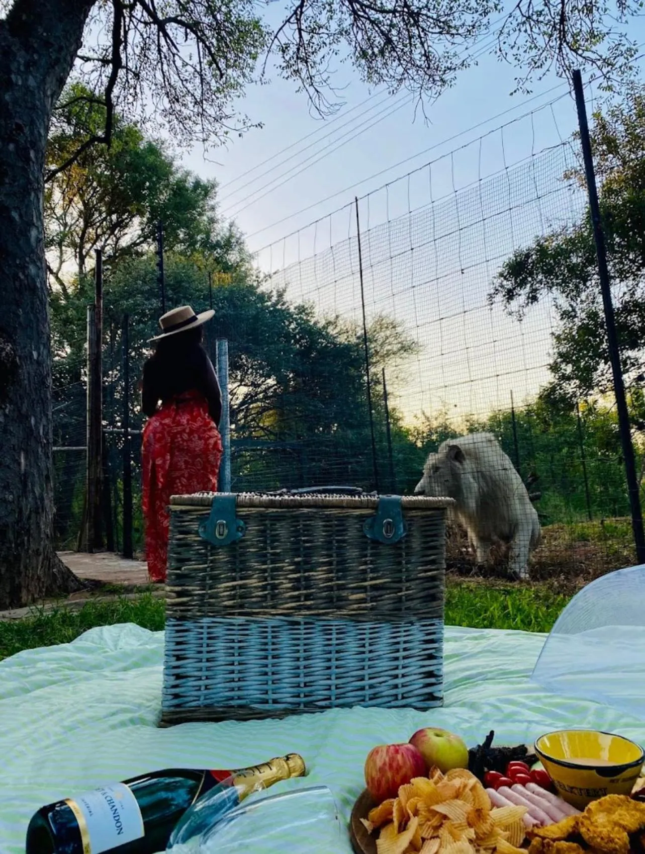 View (from property/room) in Simba Safaris African Pride Exotic Lodge