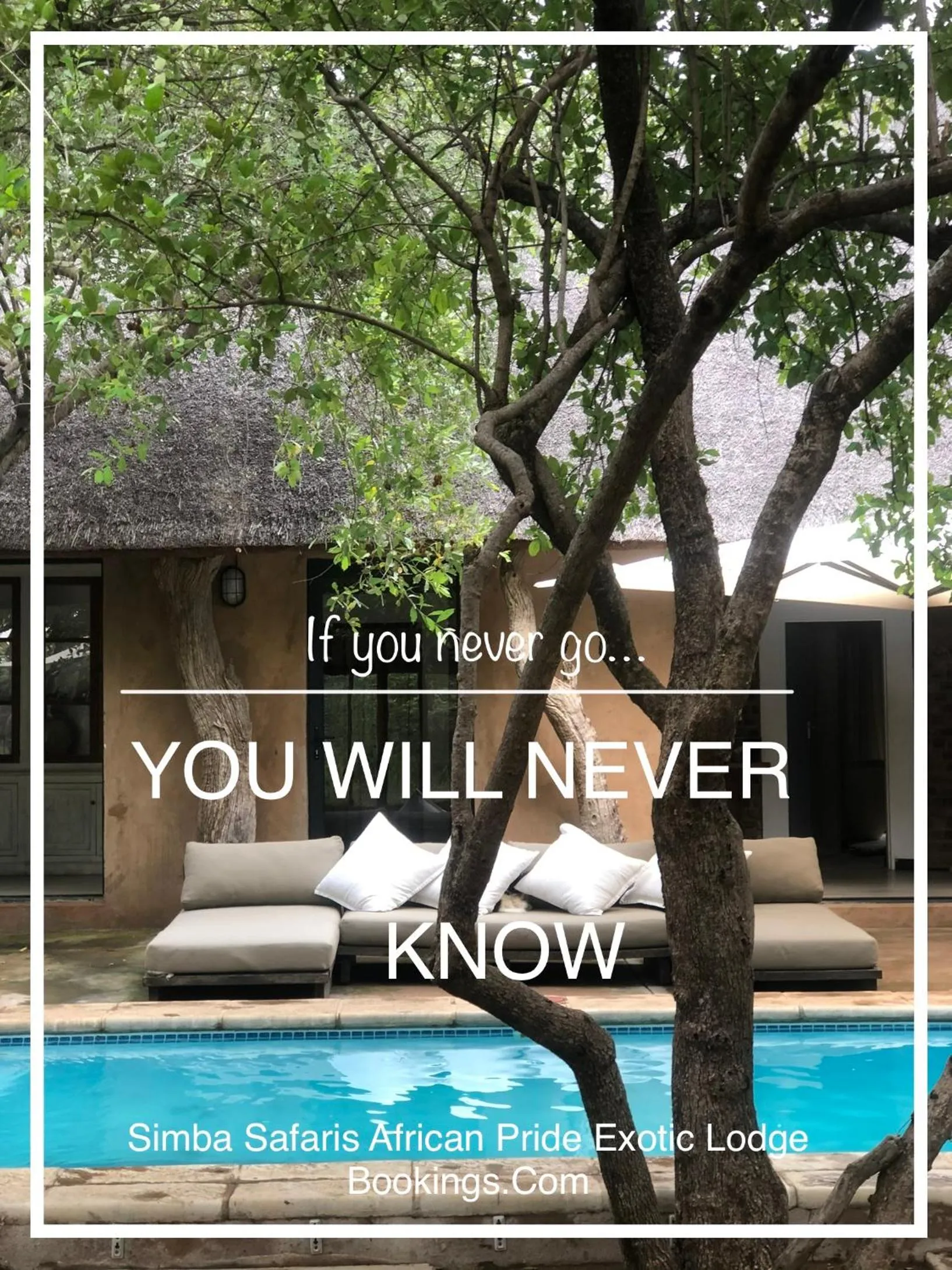 Patio in Simba Safaris African Pride Exotic Lodge