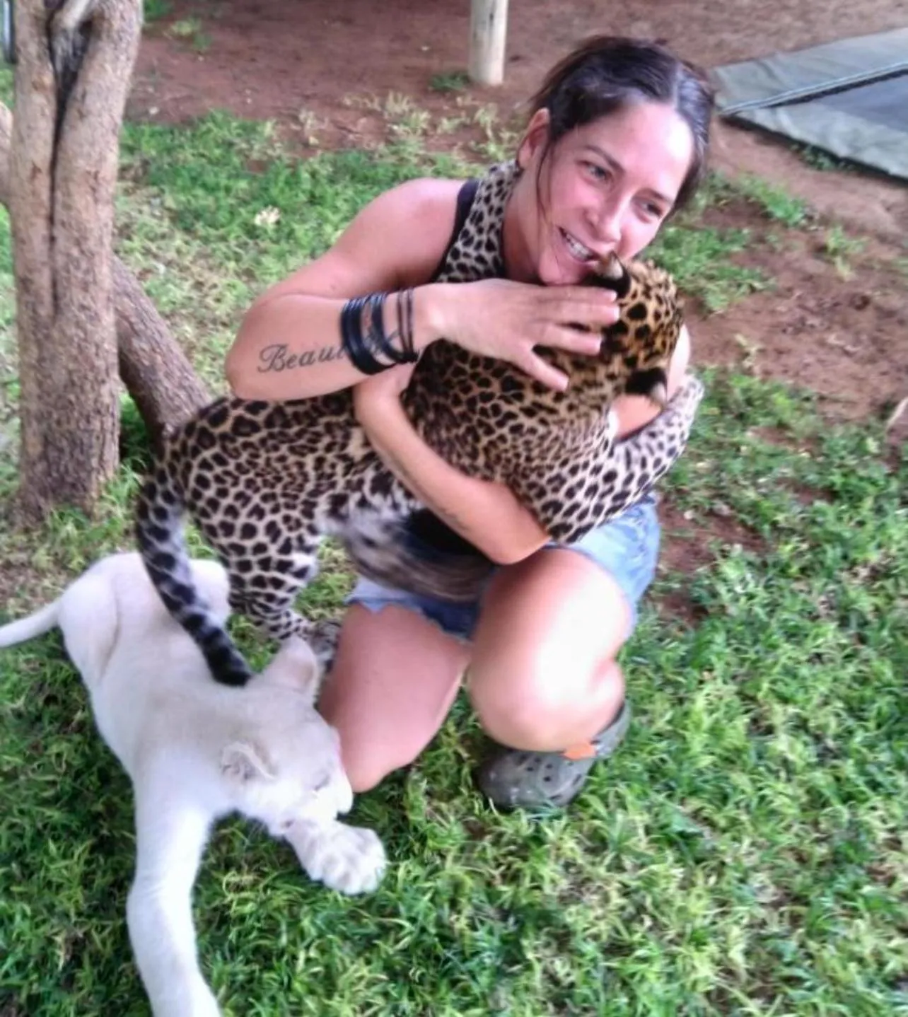 Animals in Simba Safaris African Pride Exotic Lodge