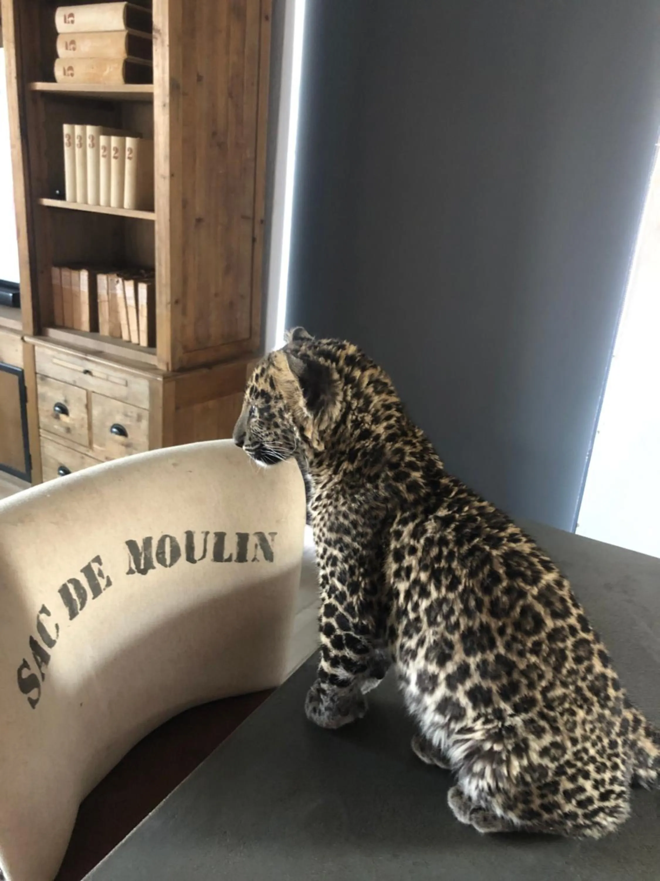 Dining area in Simba Safaris African Pride Exotic Lodge