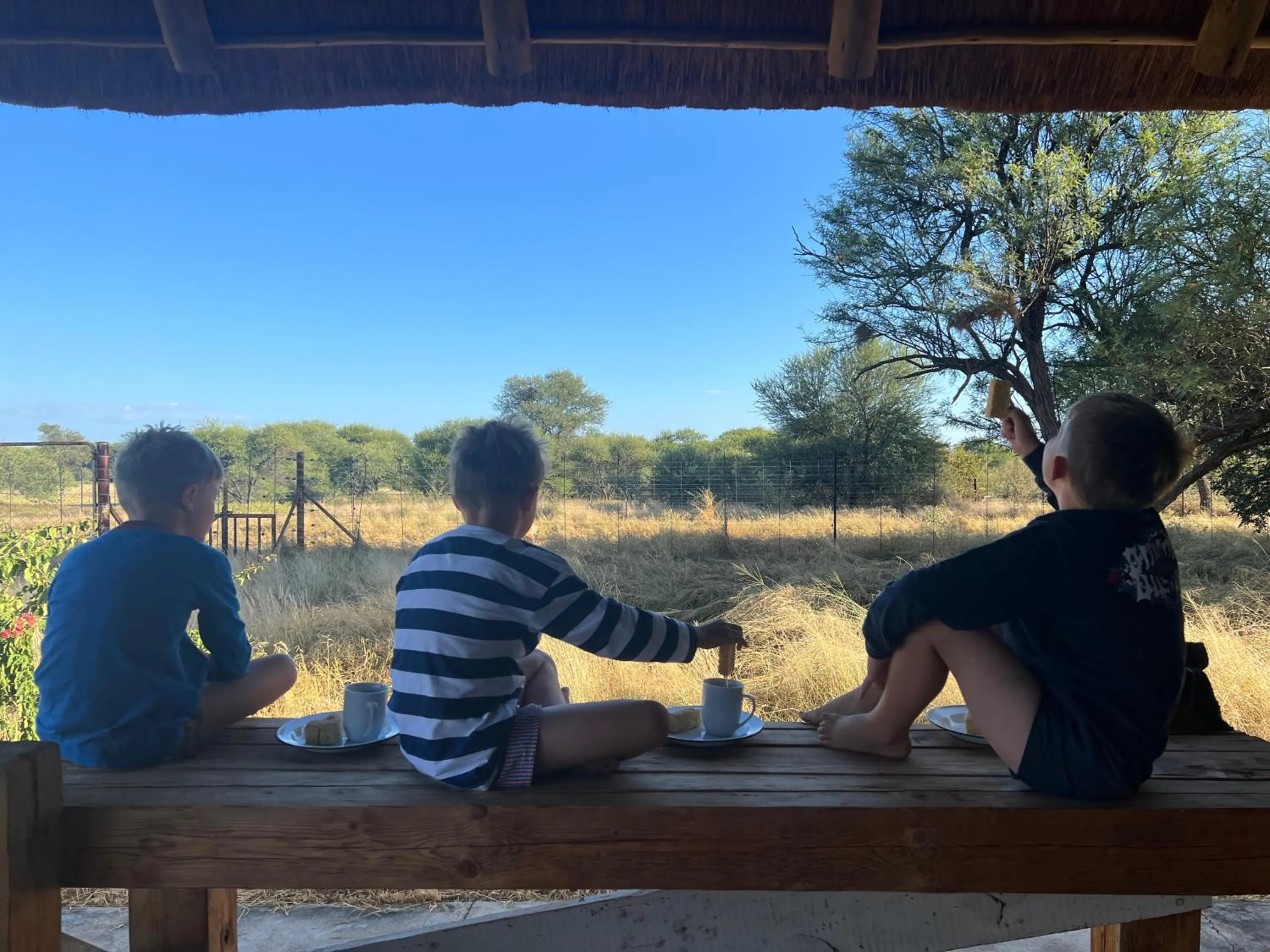 Natural landscape in Simba Safaris African Pride Exotic Lodge