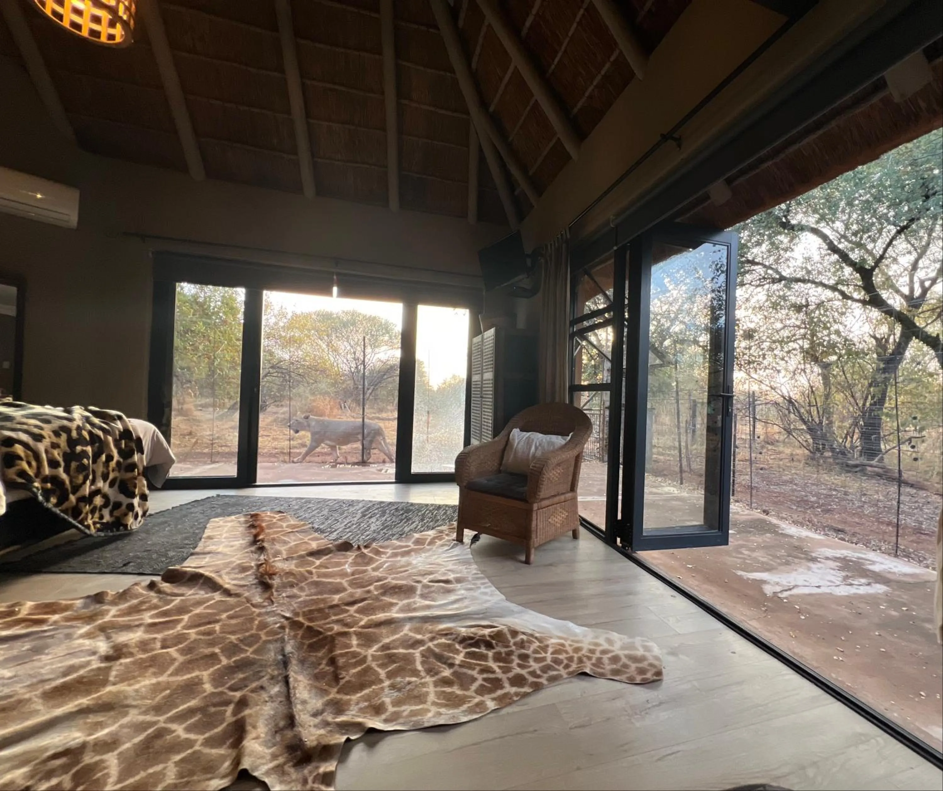 Natural landscape in Simba Safaris African Pride Exotic Lodge