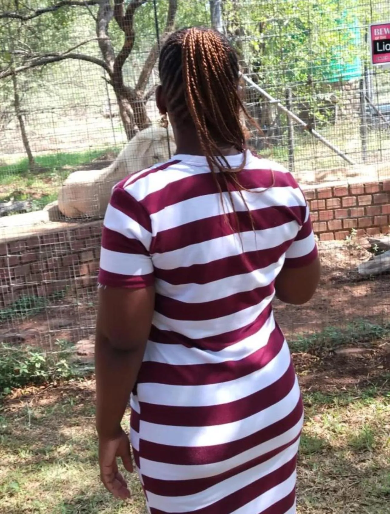 People in Simba Safaris African Pride Exotic Lodge