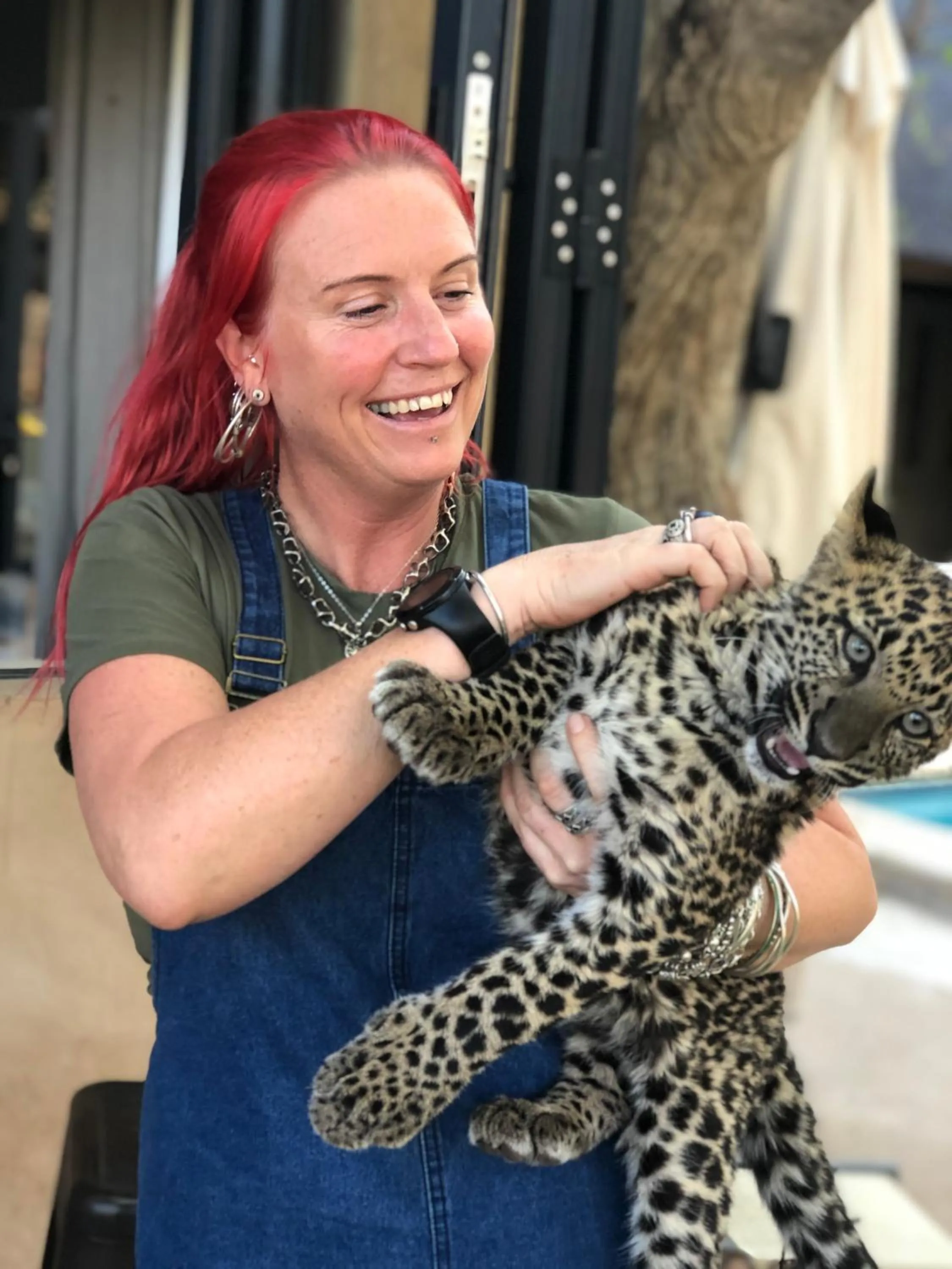 Animals in Simba Safaris African Pride Exotic Lodge