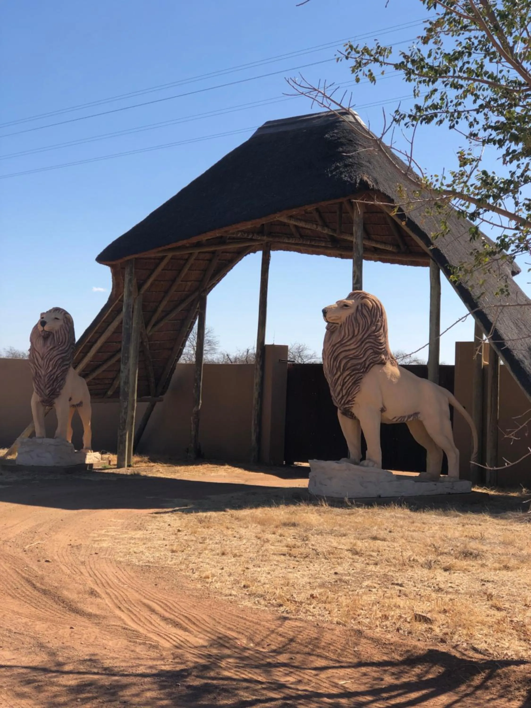 Facade/entrance in Simba Safaris African Pride Exotic Lodge