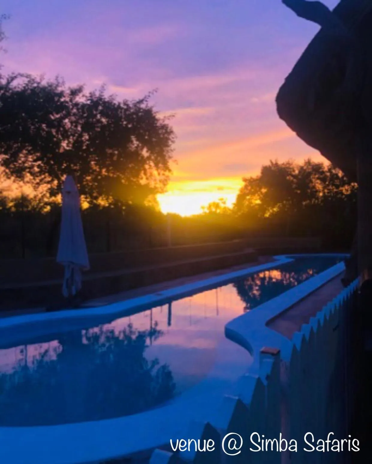 Pool view in Simba Safaris African Pride Exotic Lodge