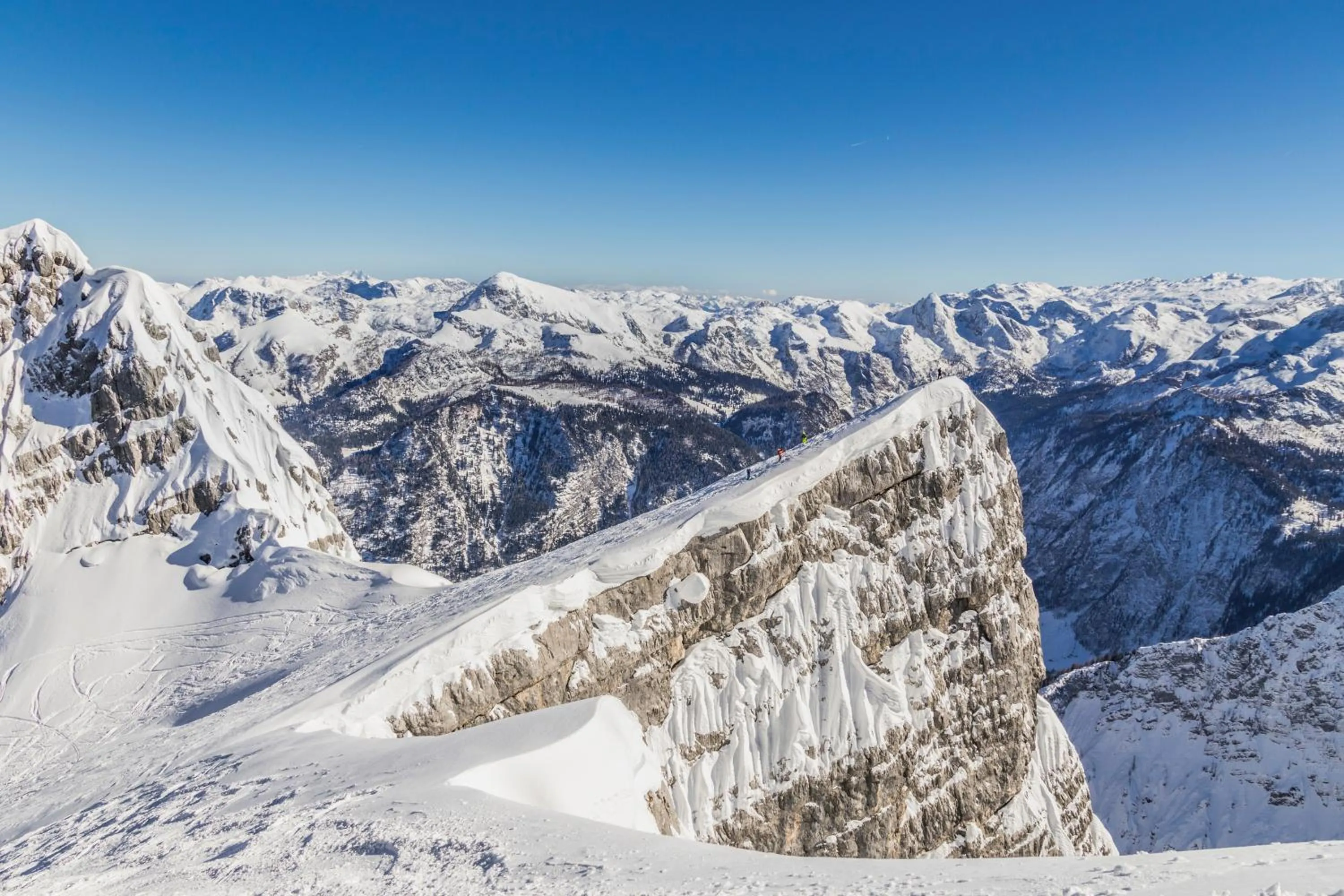 Pension und Ferienwohnung Frech