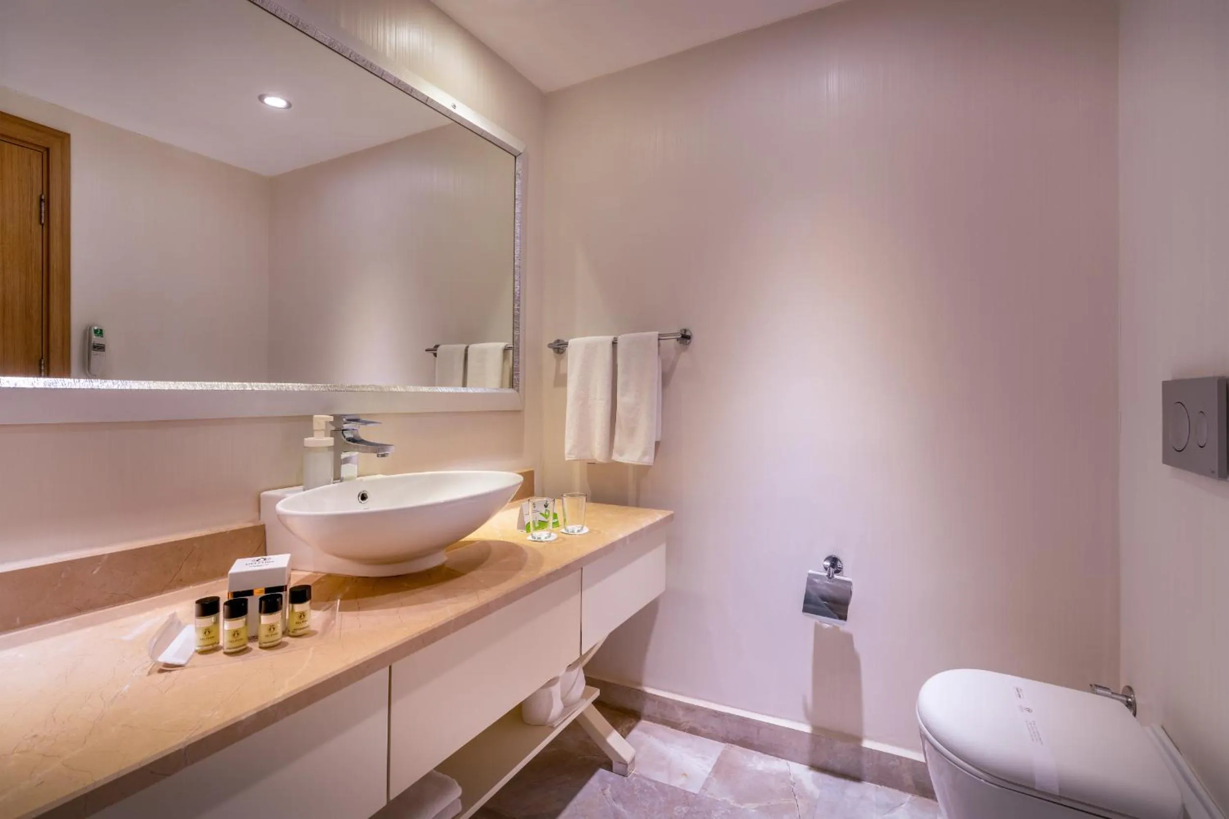 Photo of the whole room in Botanik Platinum Hotel