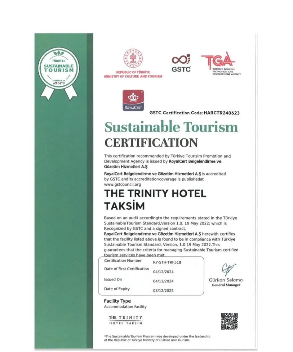 The Trinity Hotel Taksim - Special Category