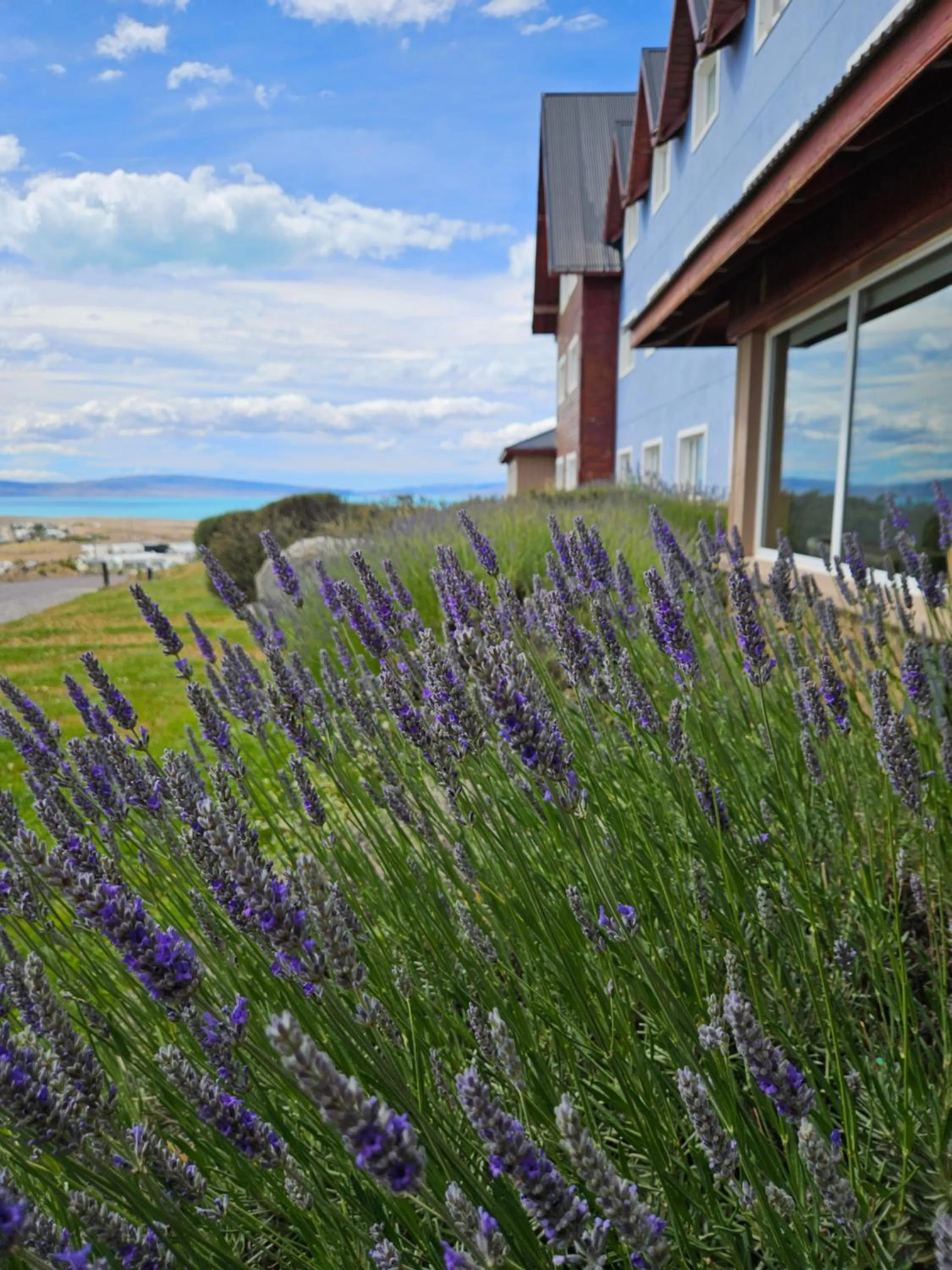 Off site in Alto Calafate Hotel