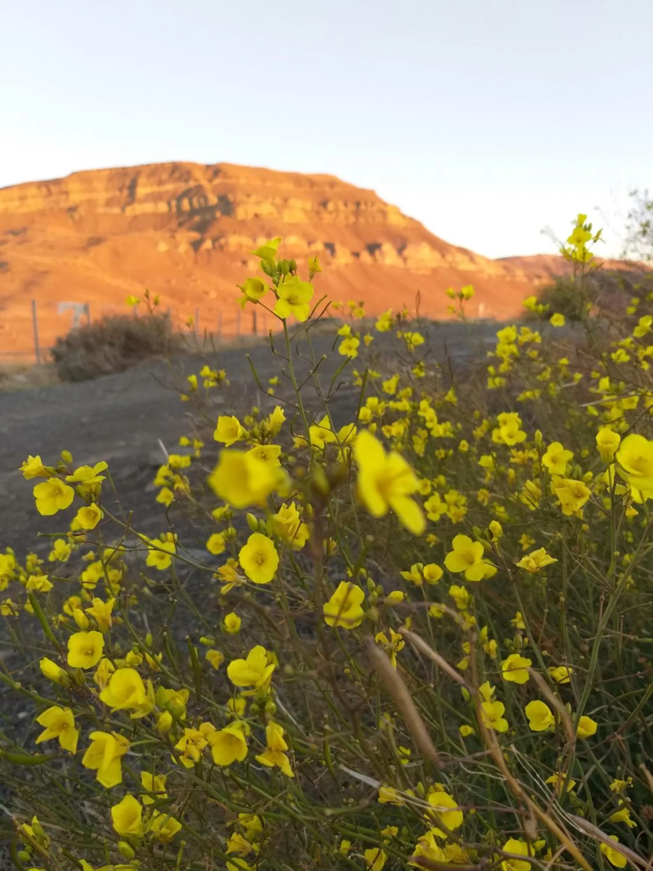 Natural landscape in Alto Calafate Hotel