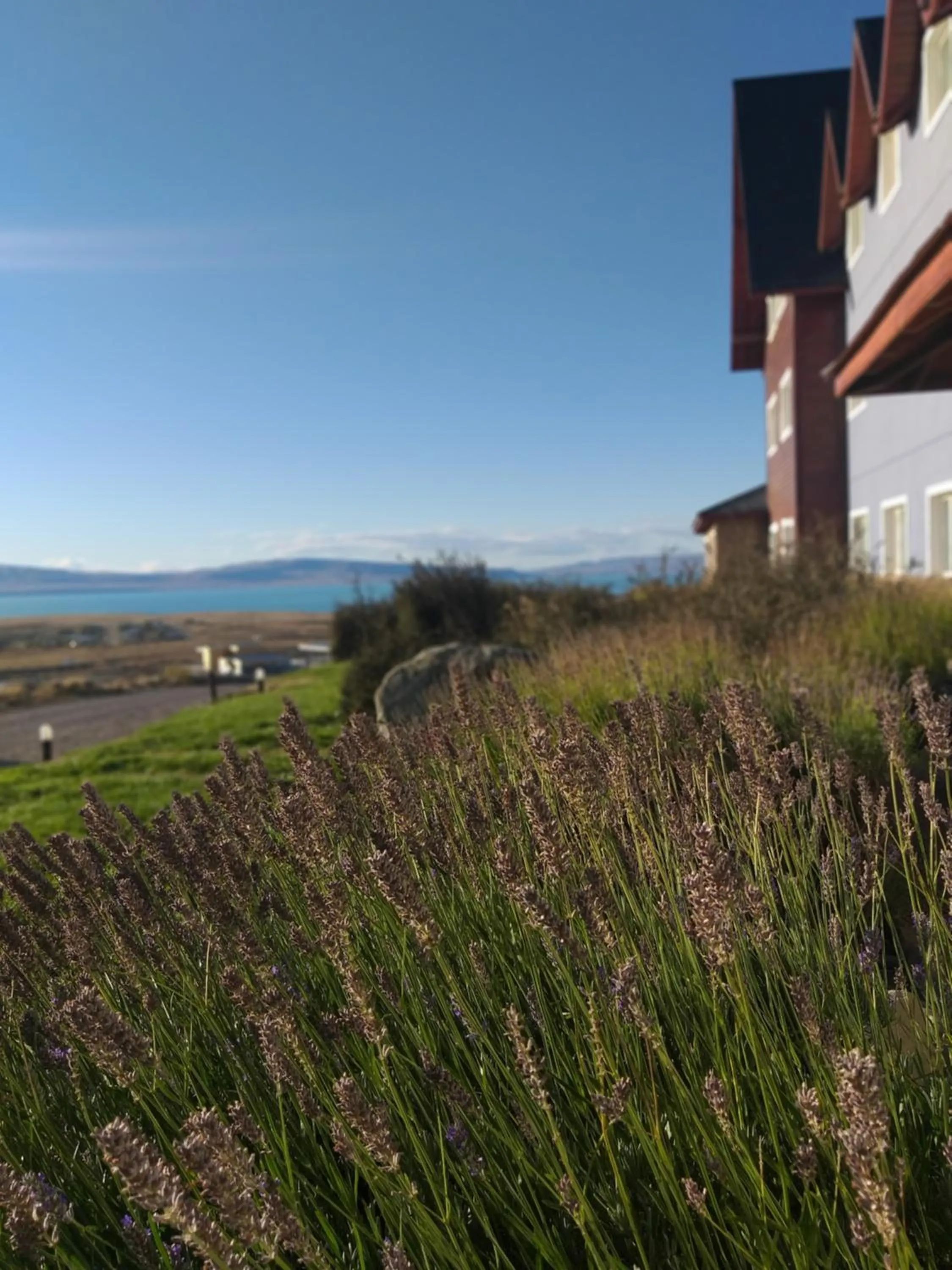 Natural landscape in Alto Calafate Hotel