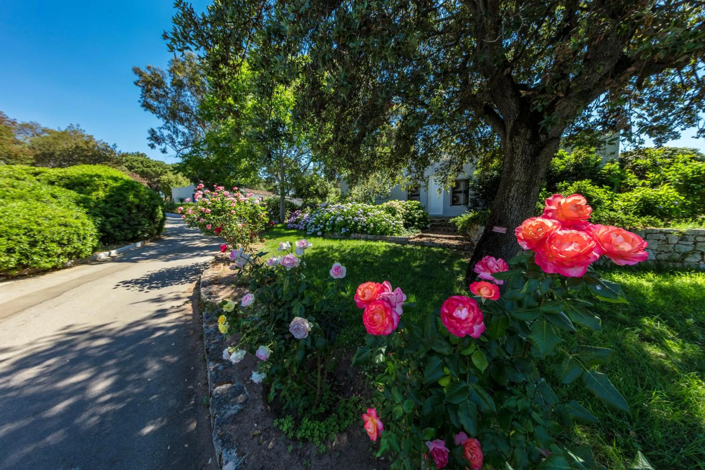 Garden in Residence Club Marina Viva