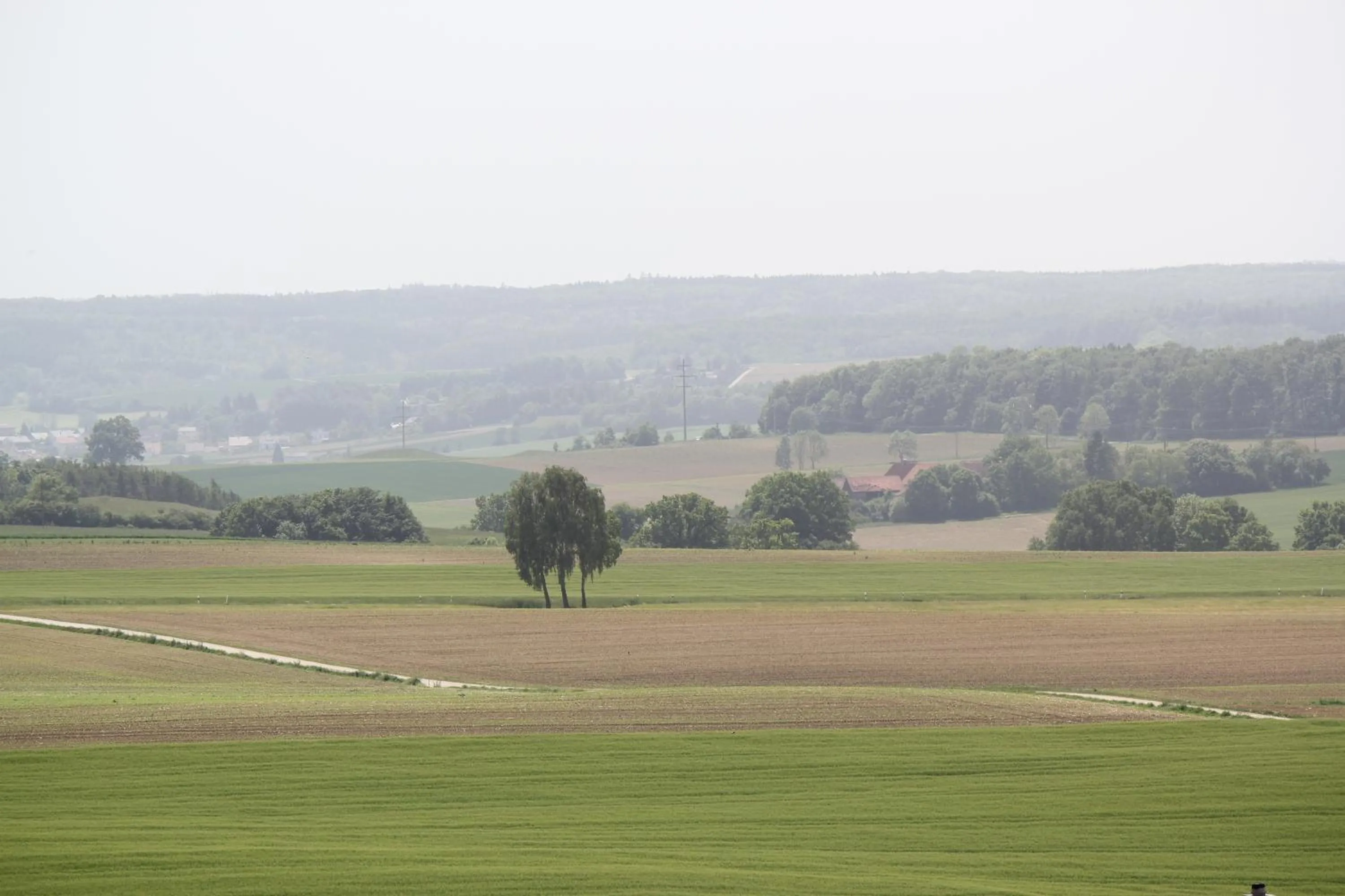 Area and facilities in Landgasthof Weberhans