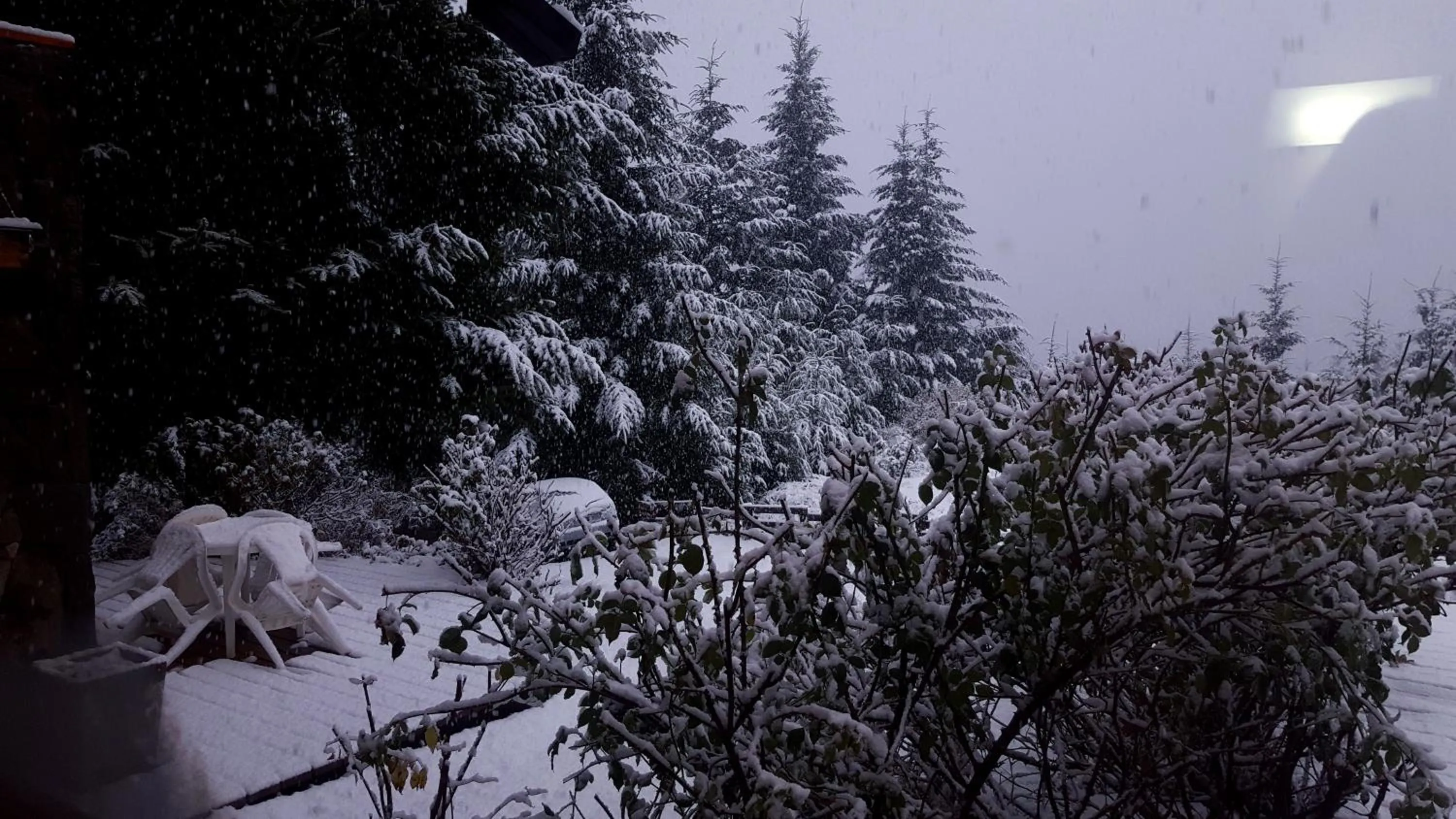 Casa Del Bosque Aparts