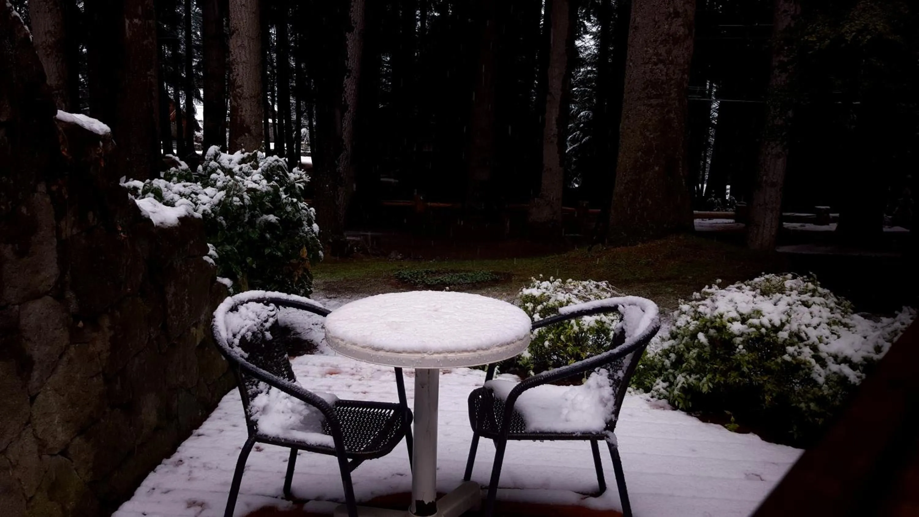 Casa Del Bosque Aparts