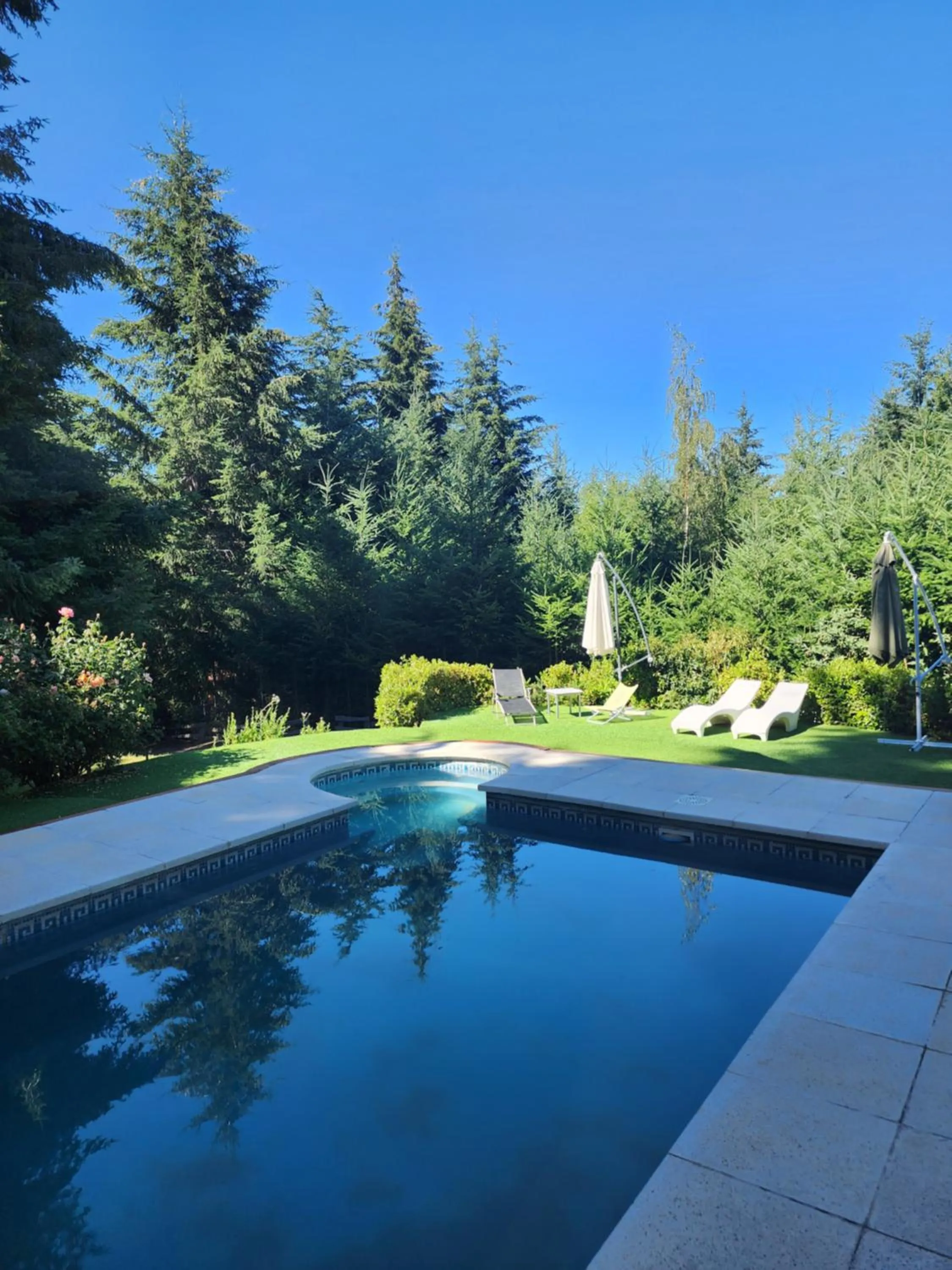 Casa Del Bosque Aparts