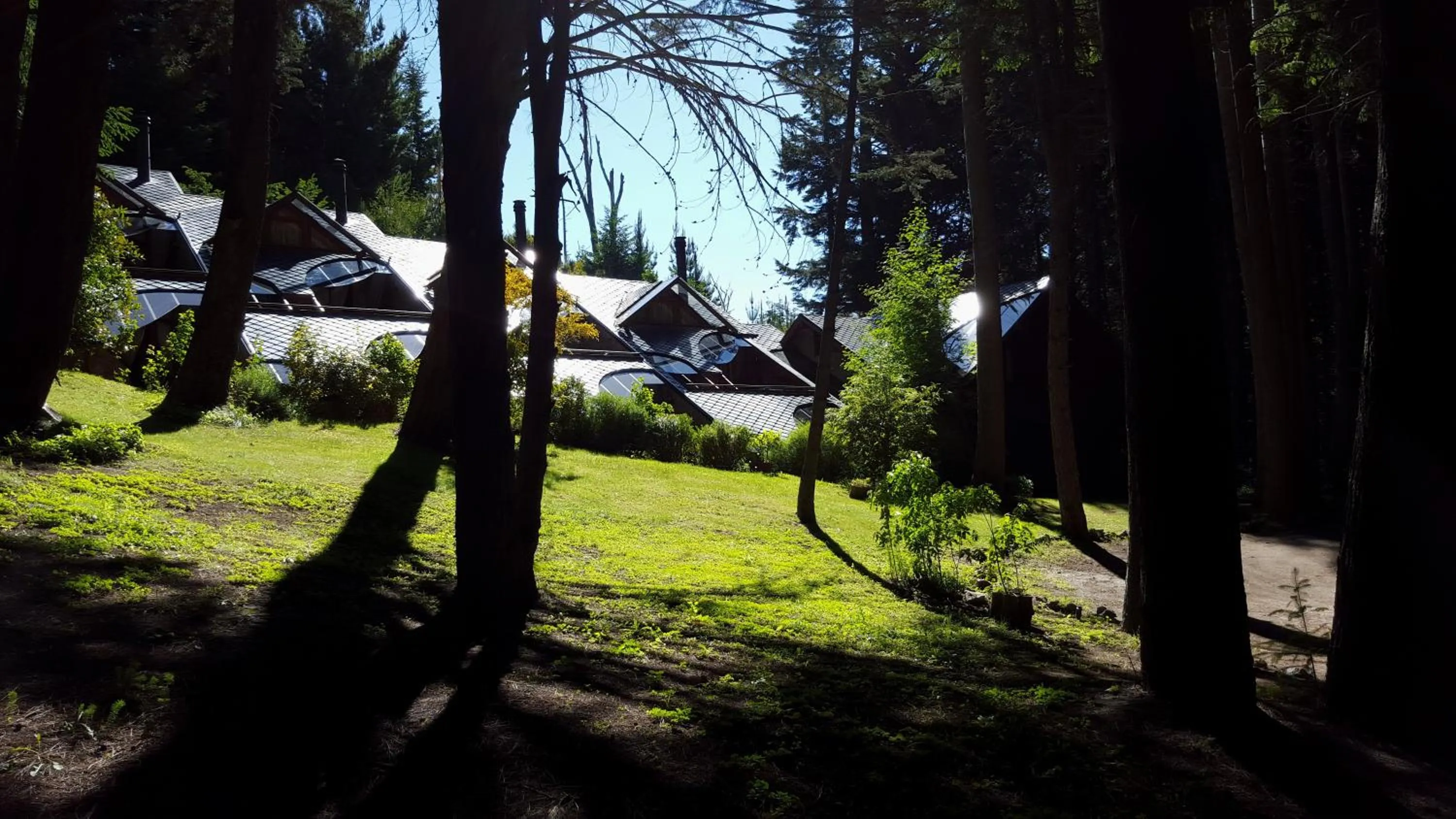 Casa Del Bosque Aparts