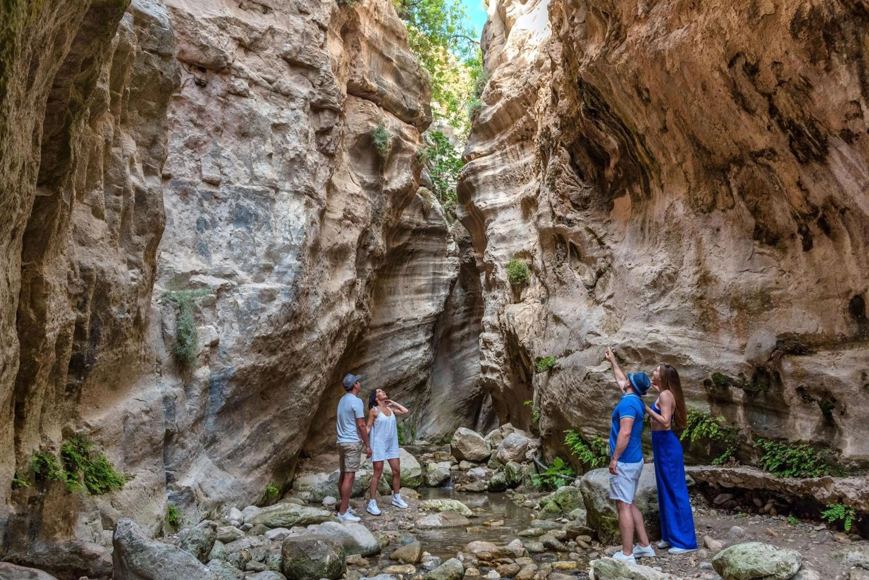 Natural landscape in Cap St Georges Hotel & Resort