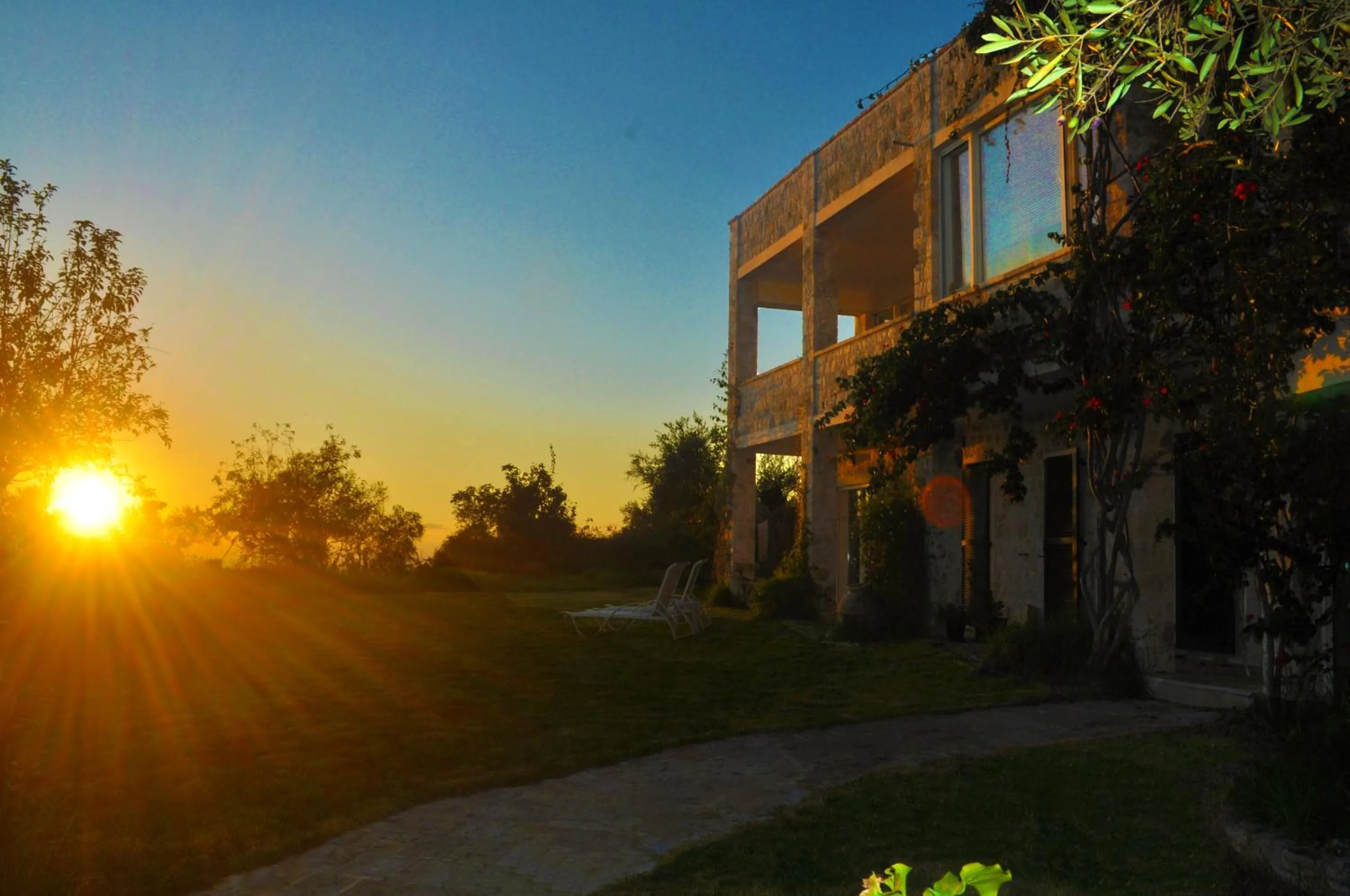 House Lemoni - Studio