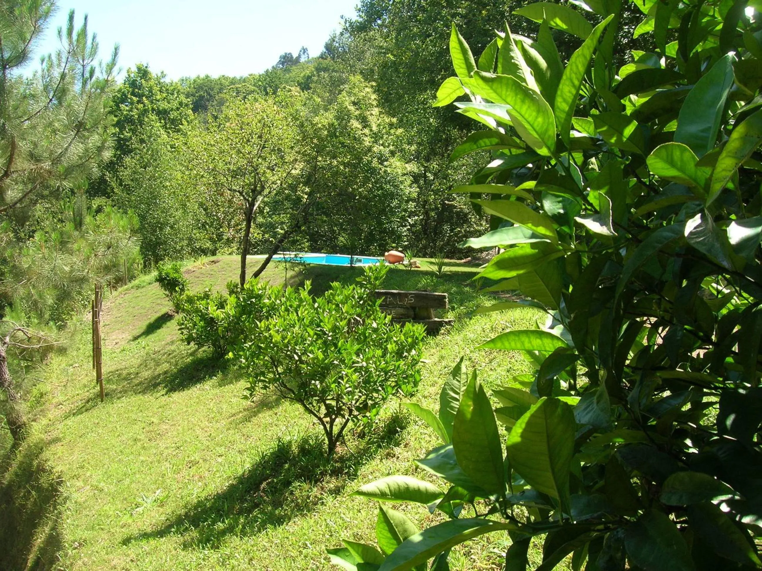 Other in Casas das Guimbras