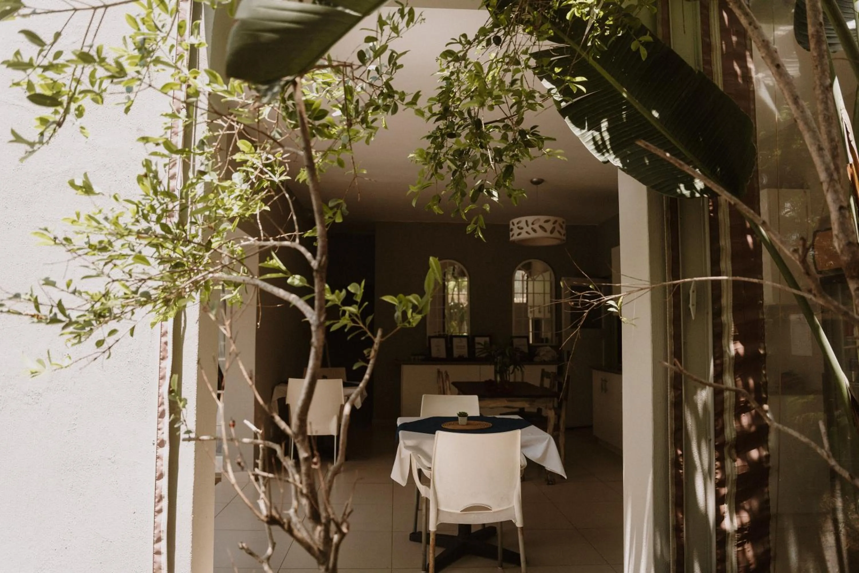 Area and facilities in Caza Beach Guesthouse