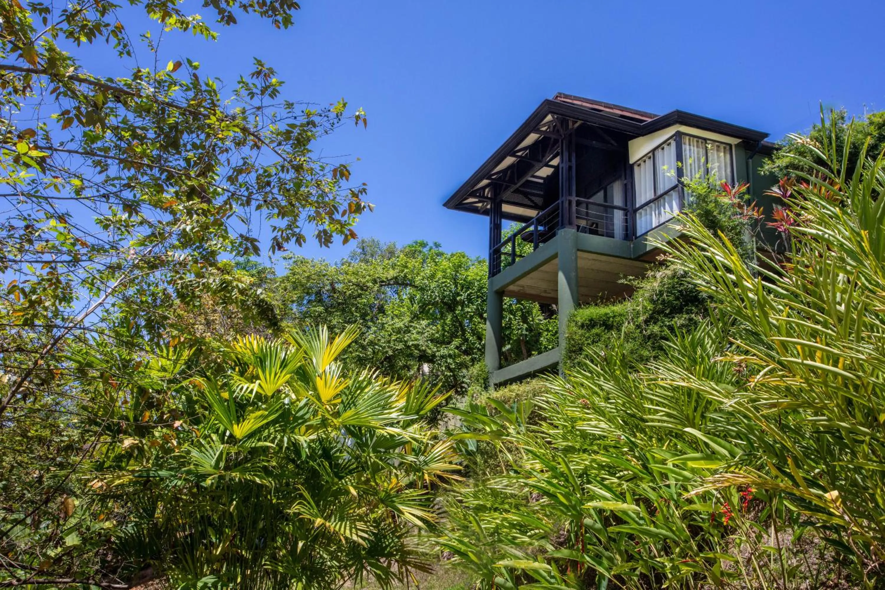Property building in Tiki Villas Rainforest Lodge - Adults Only
