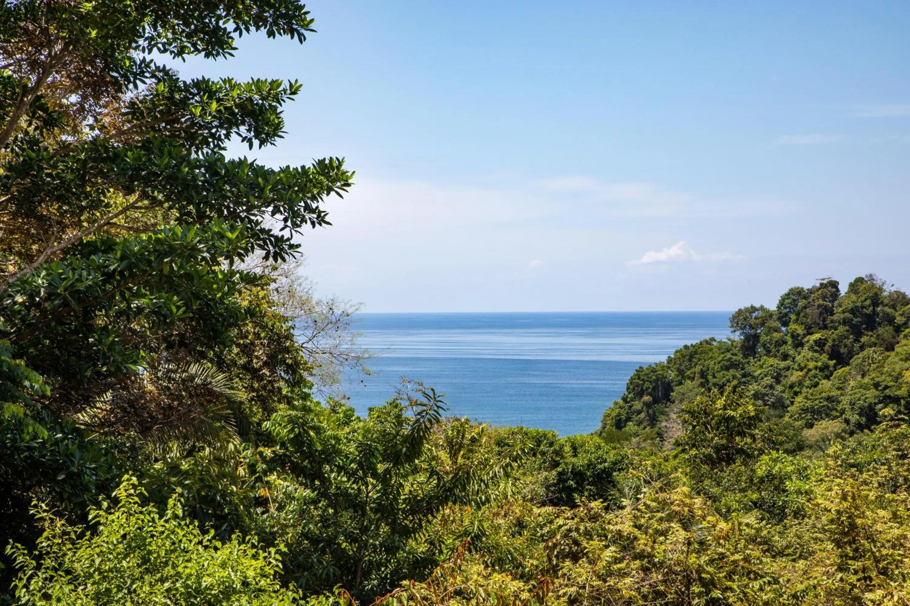 View (from property/room) in Tiki Villas Rainforest Lodge - Adults Only