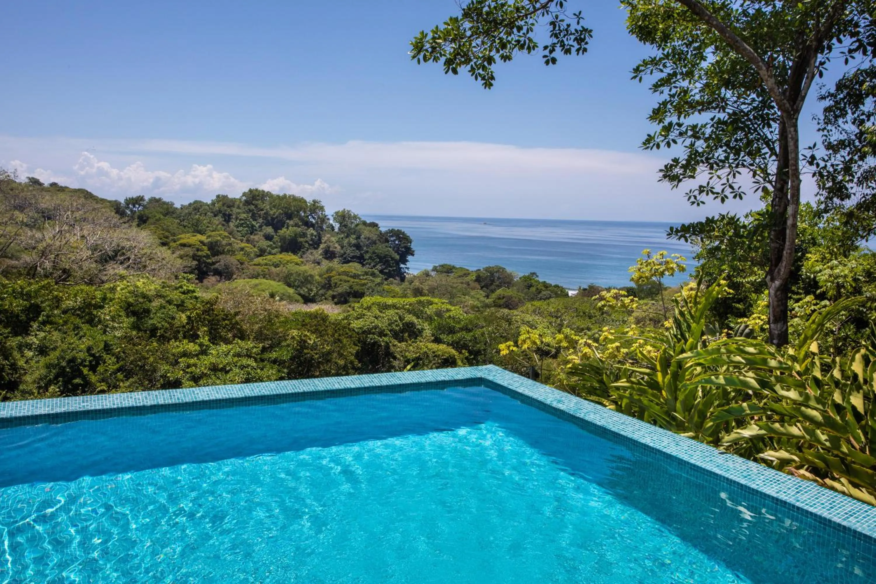 Pool view in Tiki Villas Rainforest Lodge - Adults Only