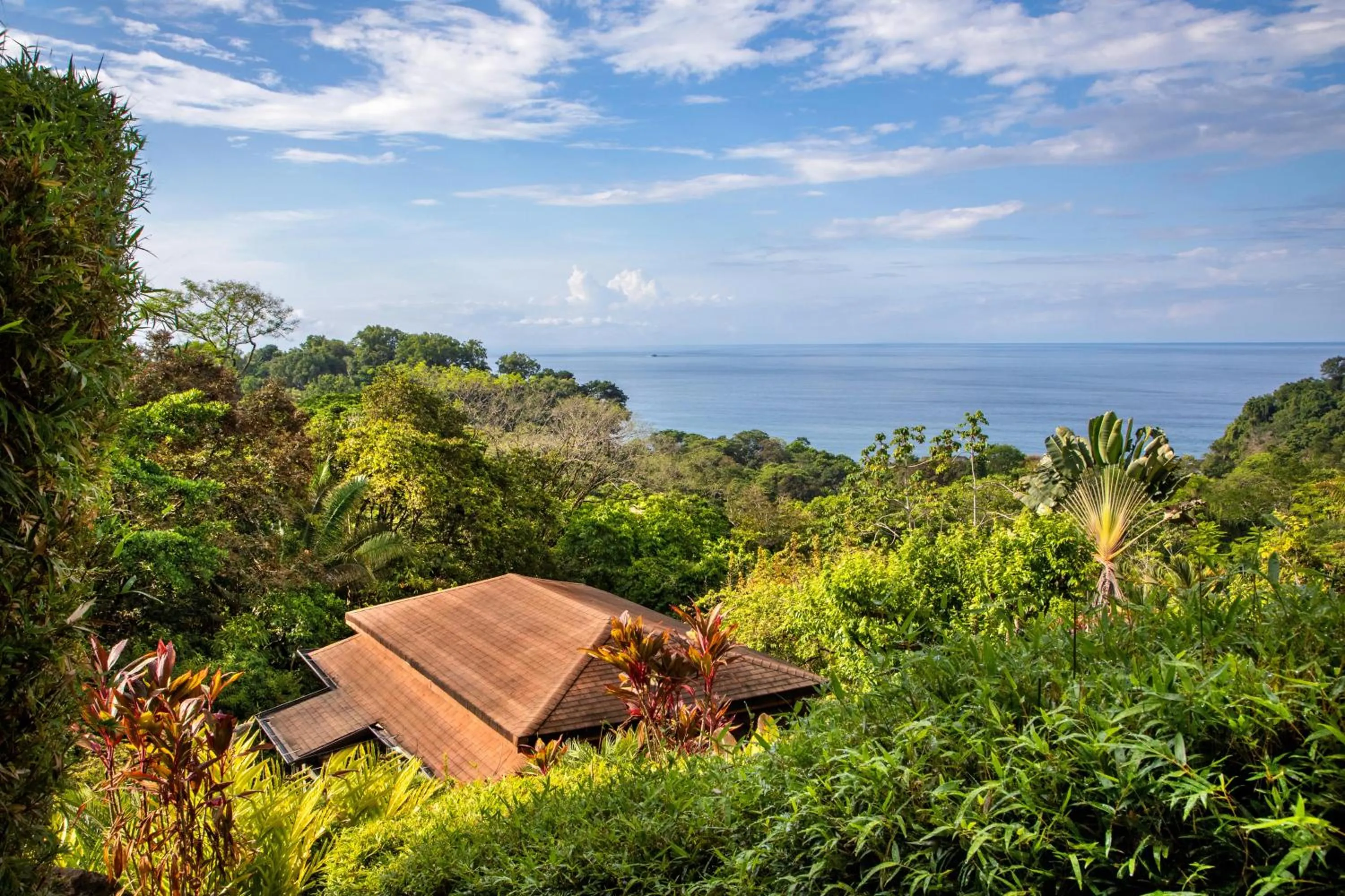 View (from property/room) in Tiki Villas Rainforest Lodge - Adults Only
