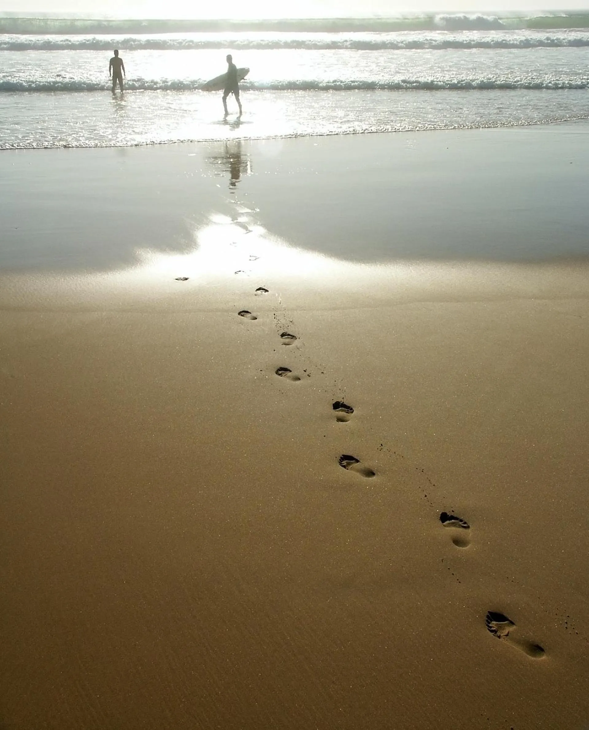 Area and facilities in Tiki Villas Rainforest Lodge - Adults Only