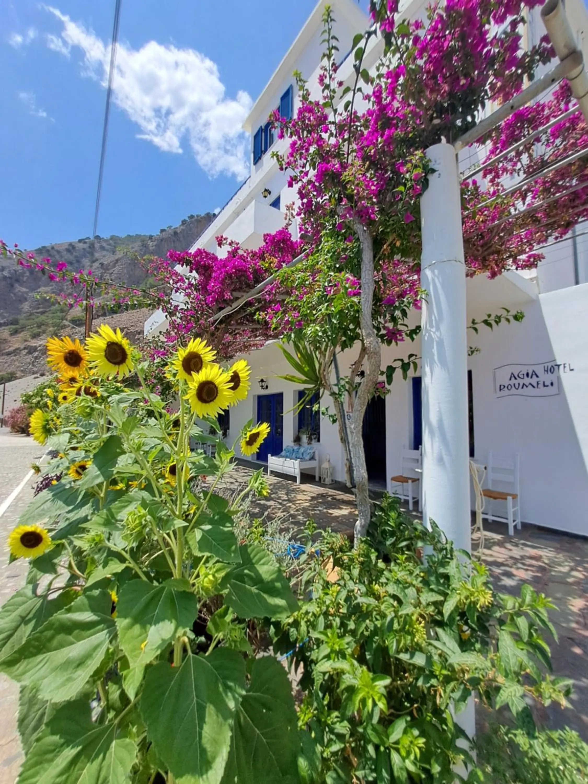 Hotel Agia Roumeli by the SEA