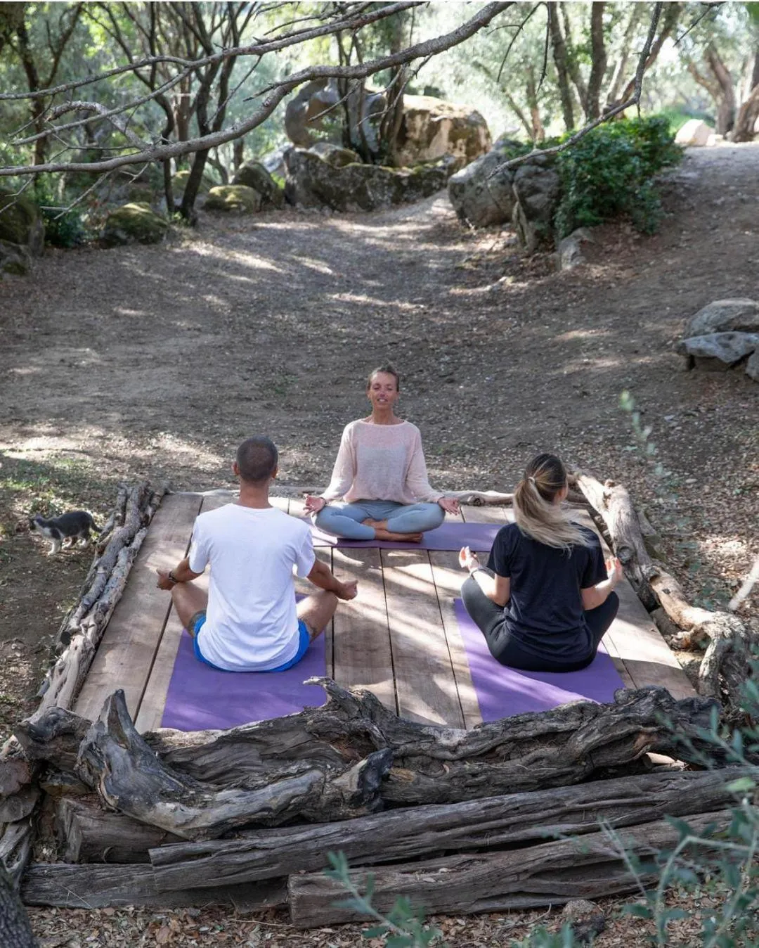 Fitness centre/facilities in Gallicantu Stazzo Retreat