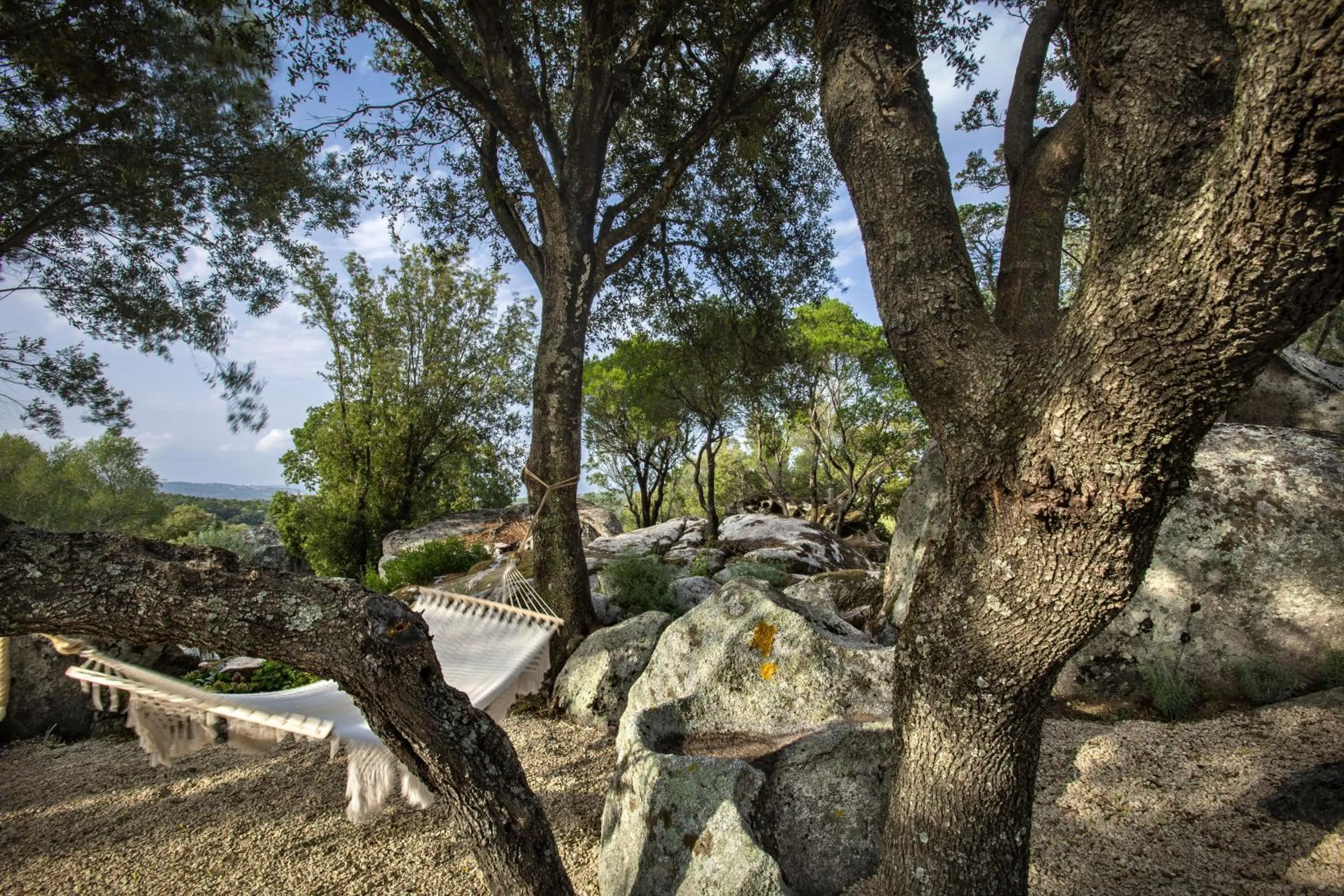Natural landscape in Gallicantu Stazzo Retreat