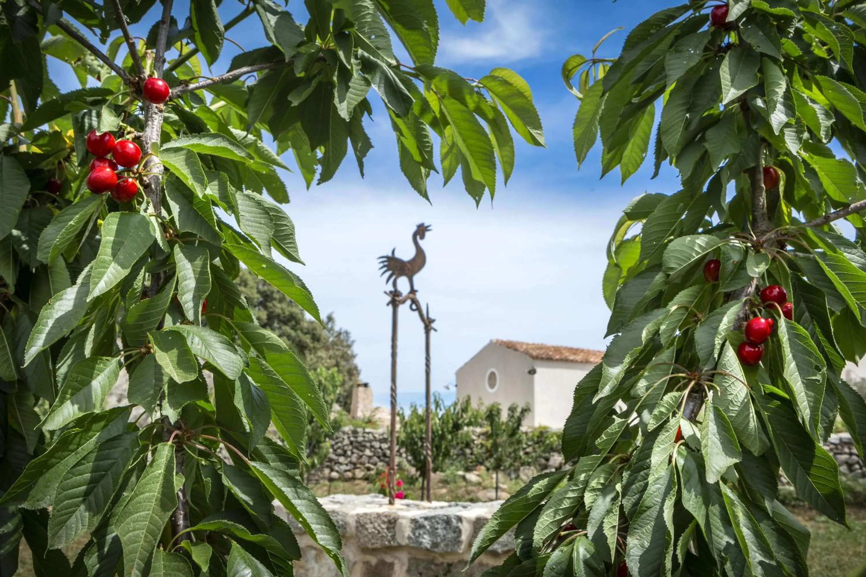 Decorative detail in Gallicantu Stazzo Retreat