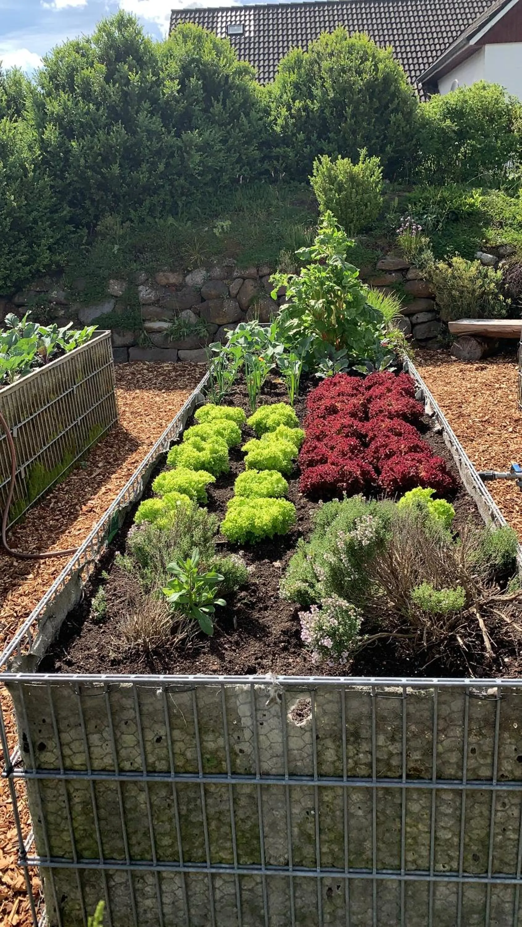 Garden in Harmony House