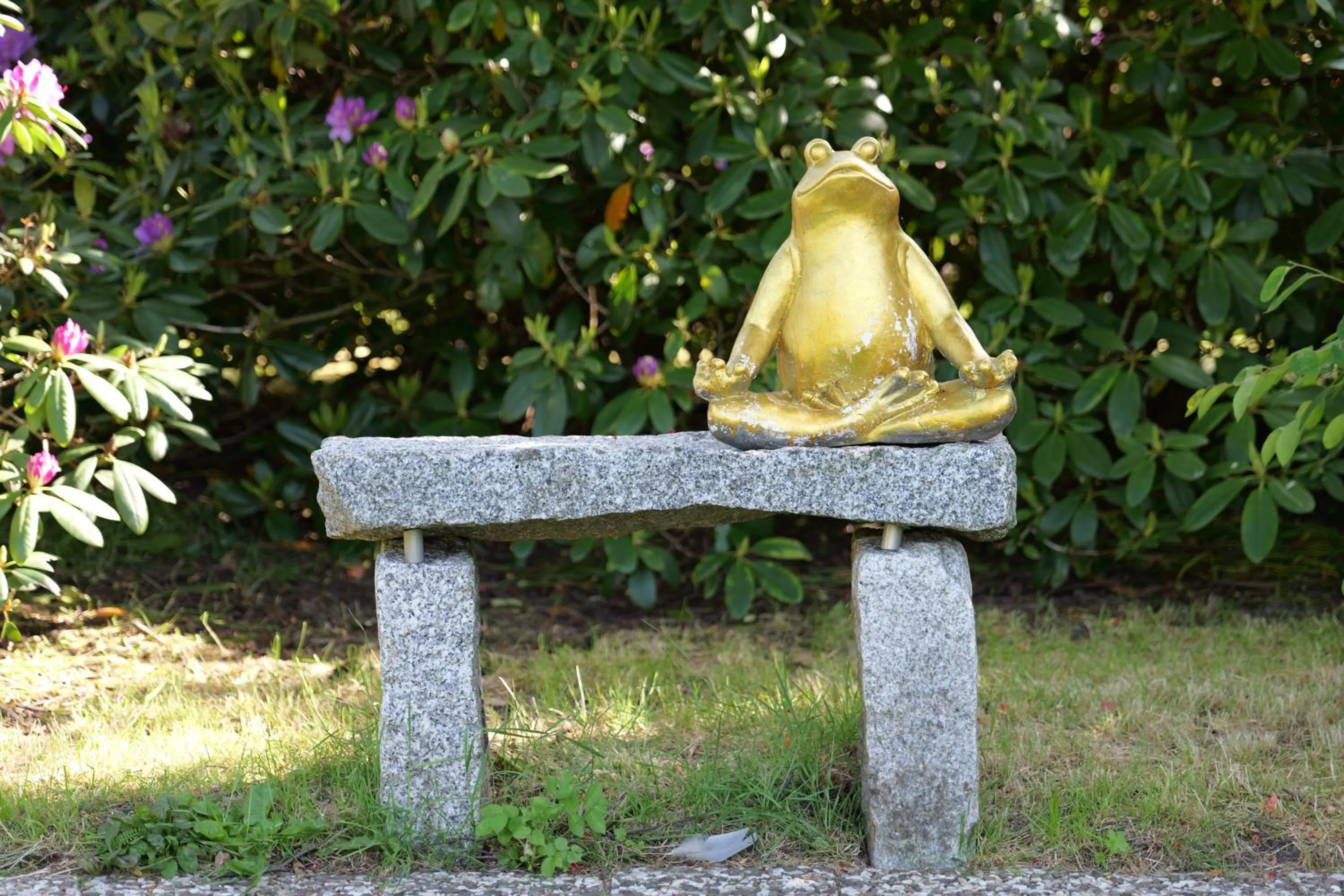 Garden in Harmony House