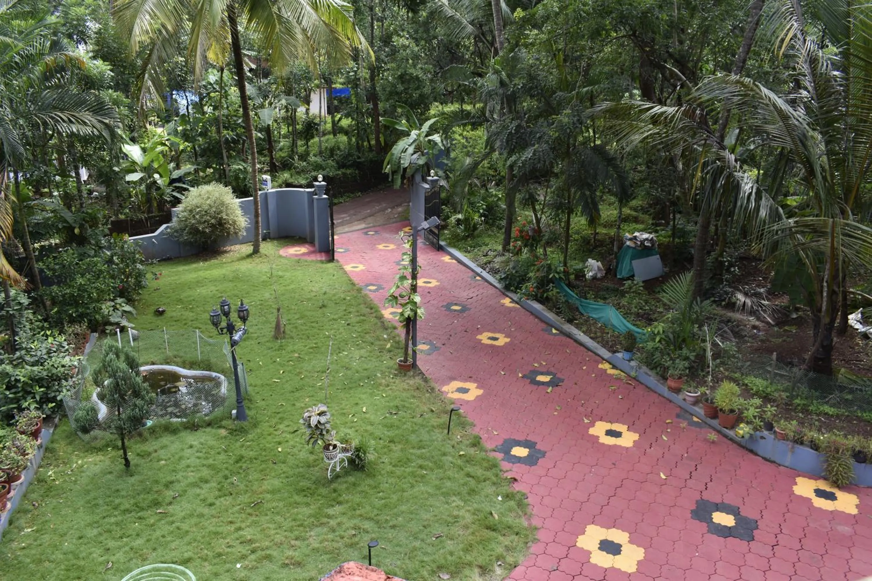 Natural landscape in Ben's Villa Kannur !